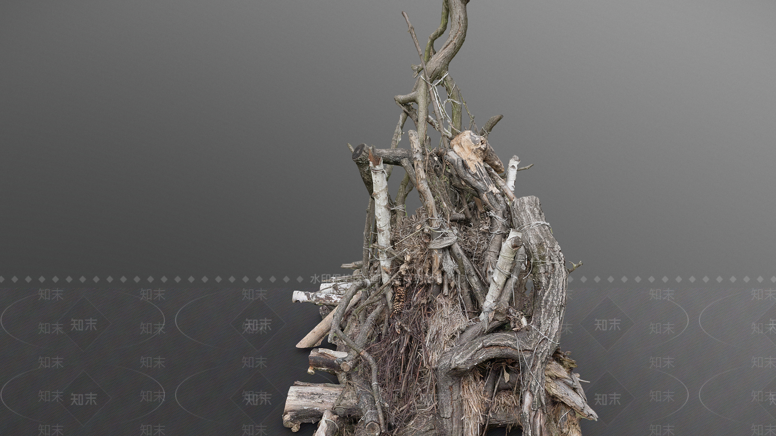 其他树木3D模型下载【ID:1194573532】