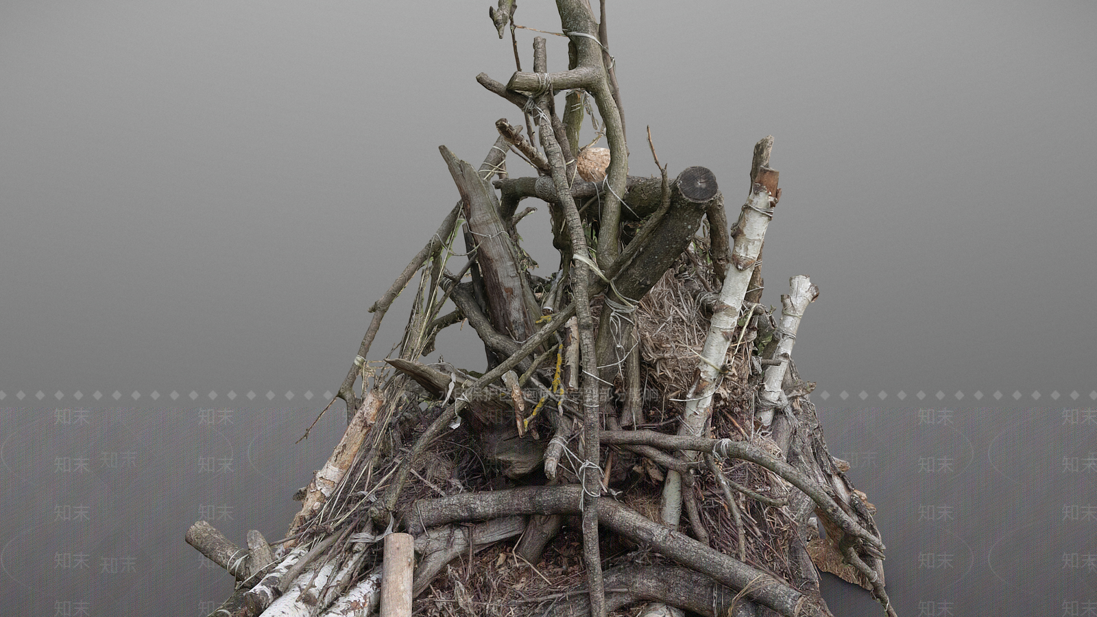 其他树木3D模型下载【ID:1194573532】