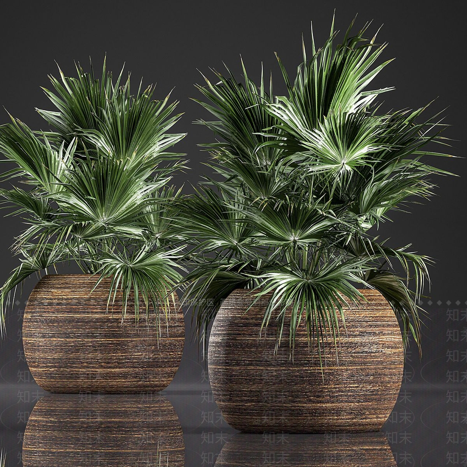盆栽3D模型下载【ID:1194584080】