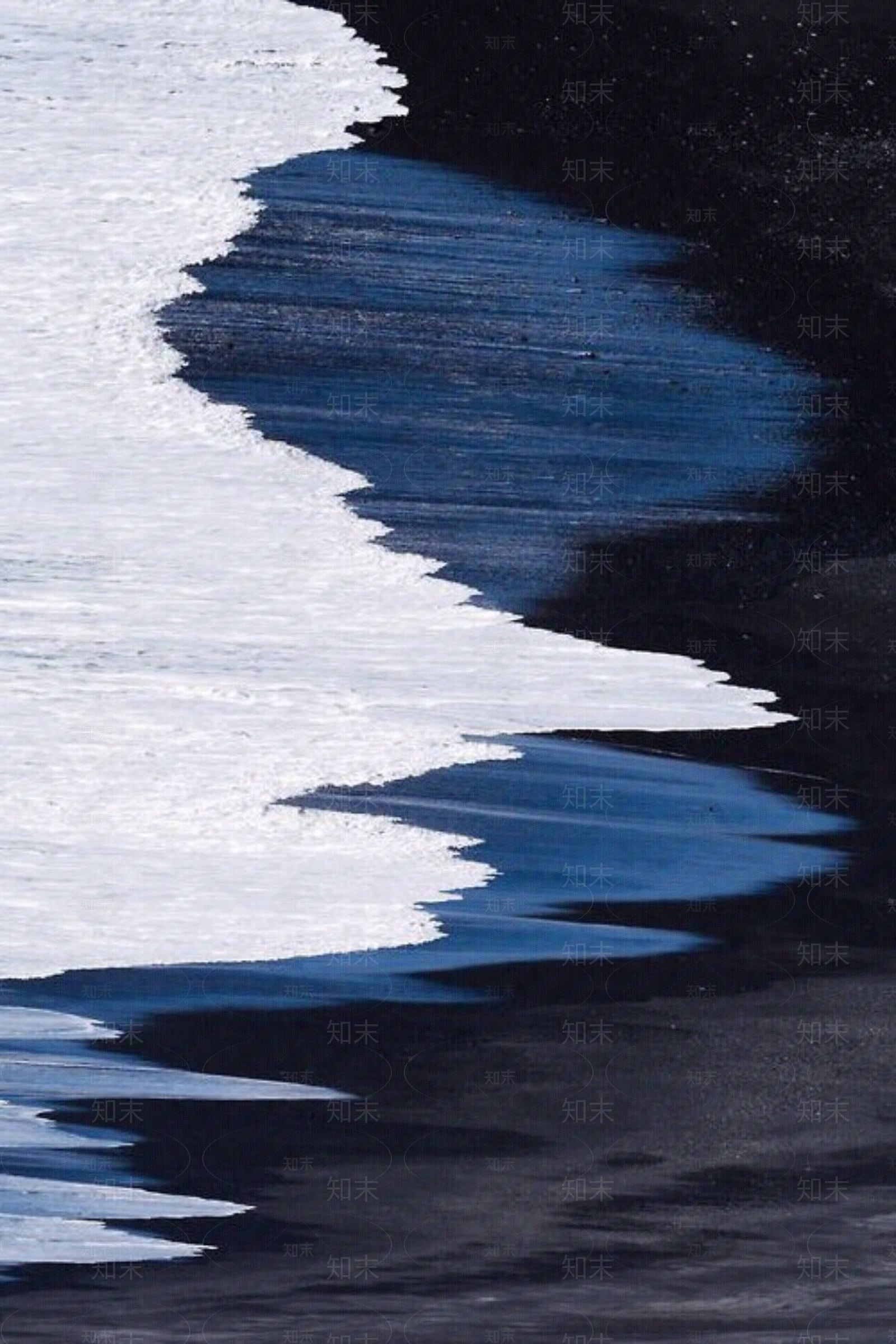 新中式中式酒店地毯贴图下载【ID:1194605839】