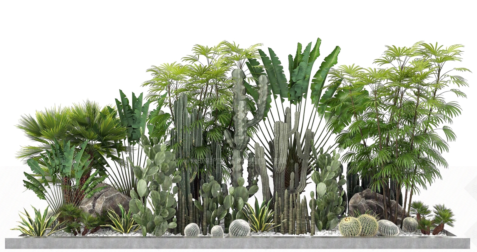 现代热带植物3D模型下载【ID:1194629362】