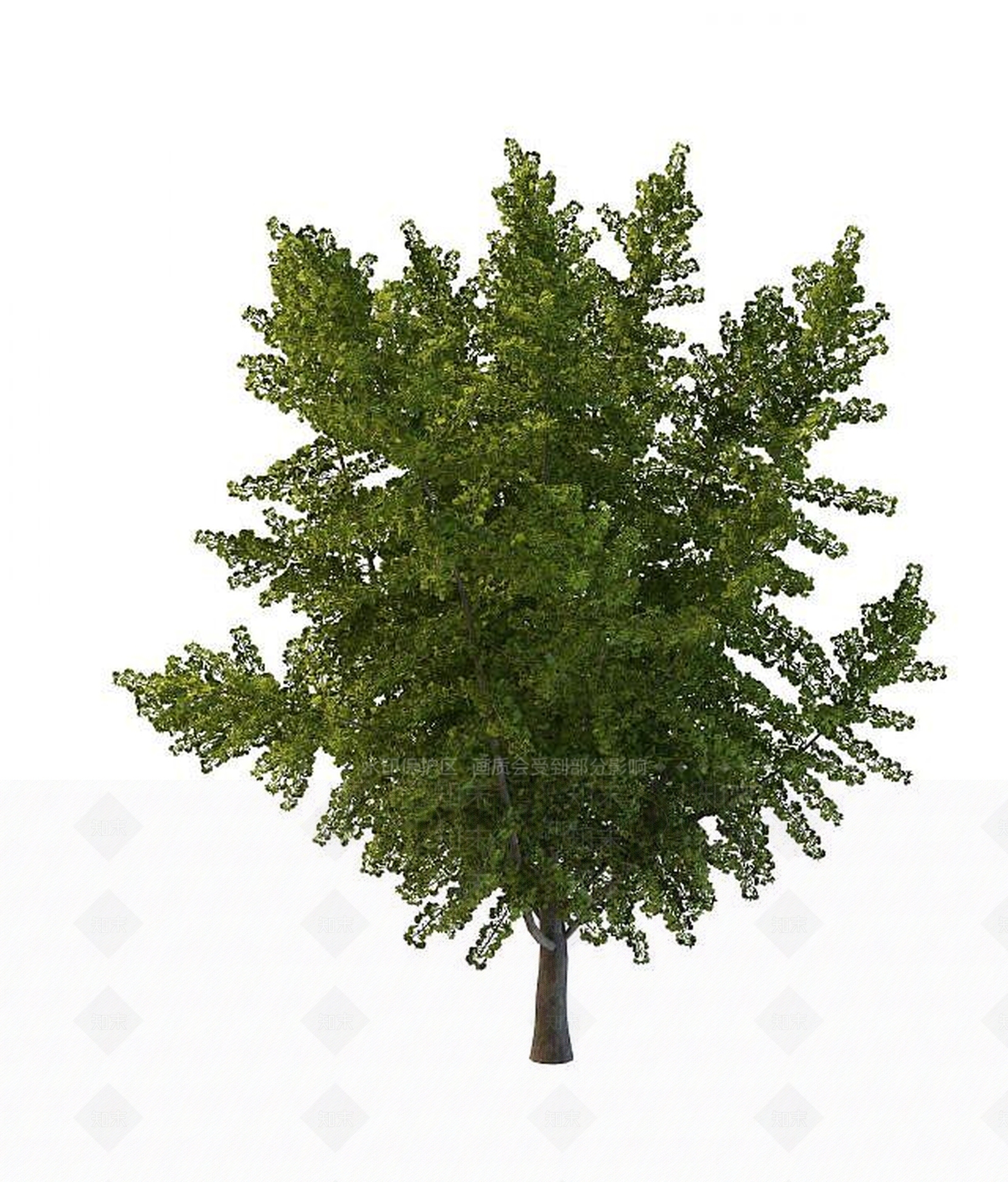 现代道路绿化树3D模型下载【ID:1194630952】