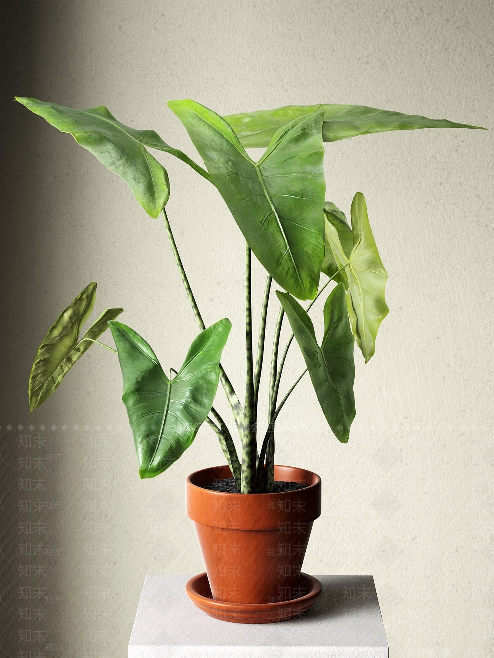 现代花3D模型渲染效果图