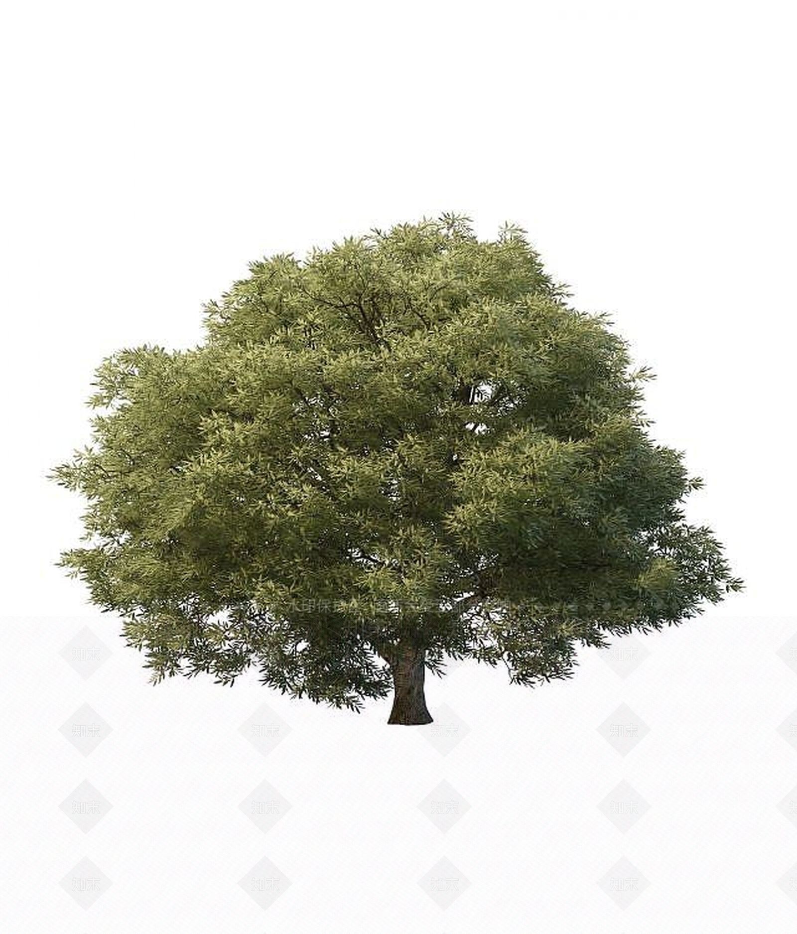 现代景观树3D模型下载【ID:1194638173】