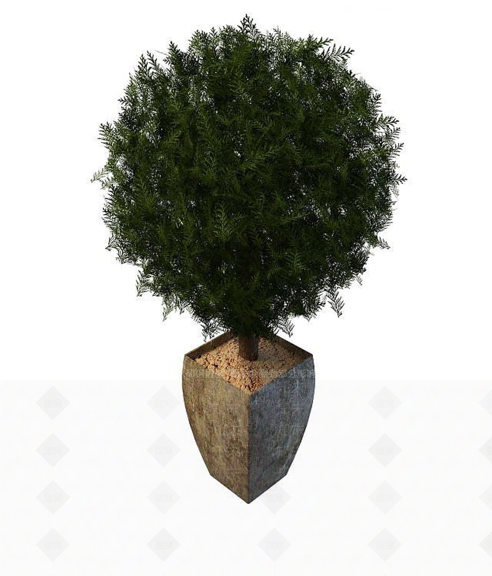 现代杉树盆栽3D模型下载【ID:1194638898】