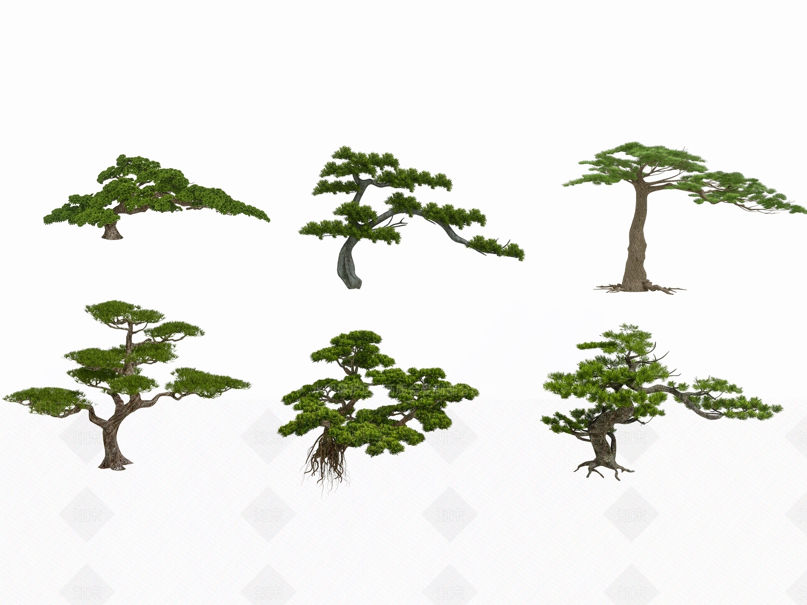 灌木SU模型下载【ID:1194711558】