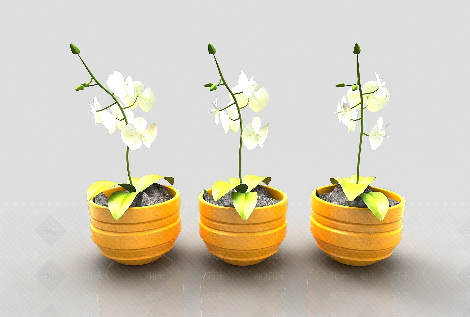 现代风格植物3D模型下载【ID:1194717611】