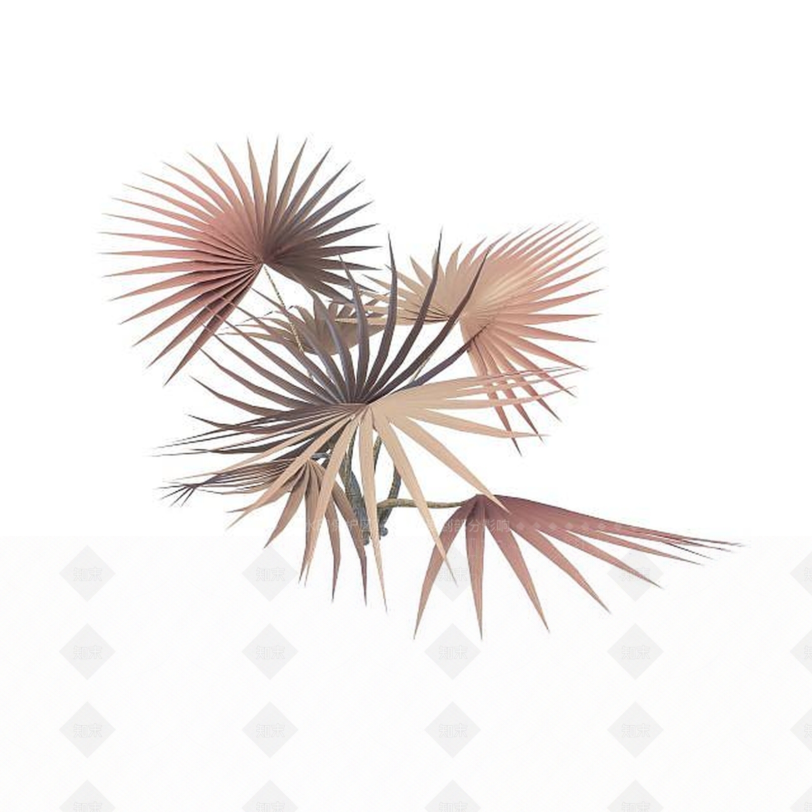 现代斐济榈3D模型下载【ID:1194719830】