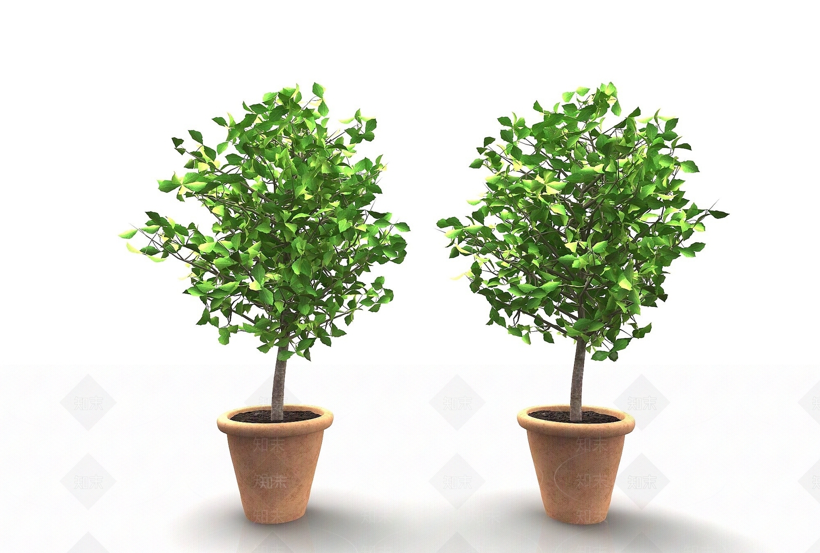 现代风格植物3D模型下载【ID:1194721109】