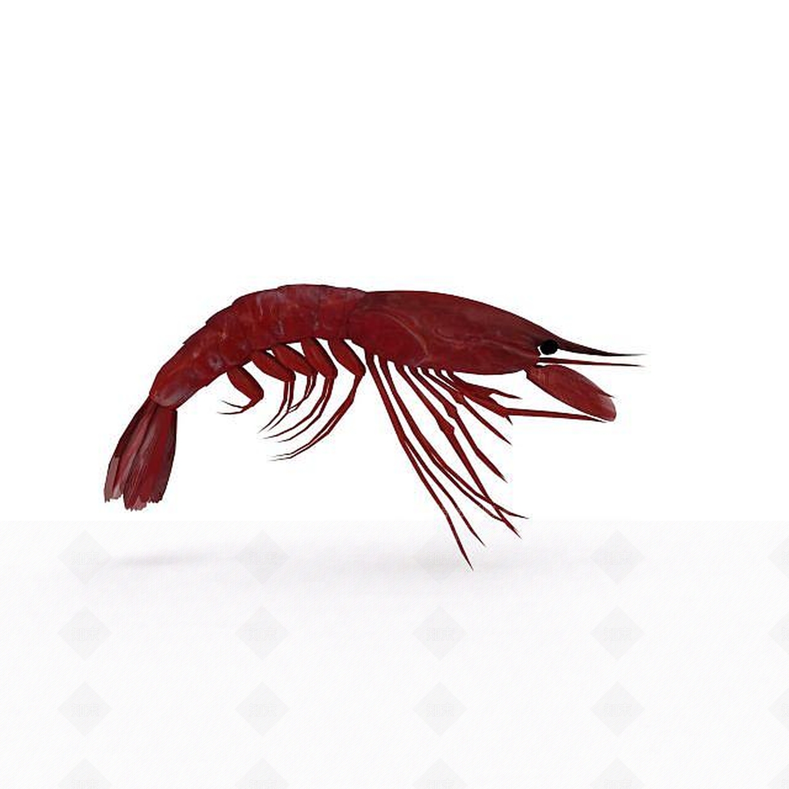 现代爬行类动物3D模型下载【ID:1194737738】