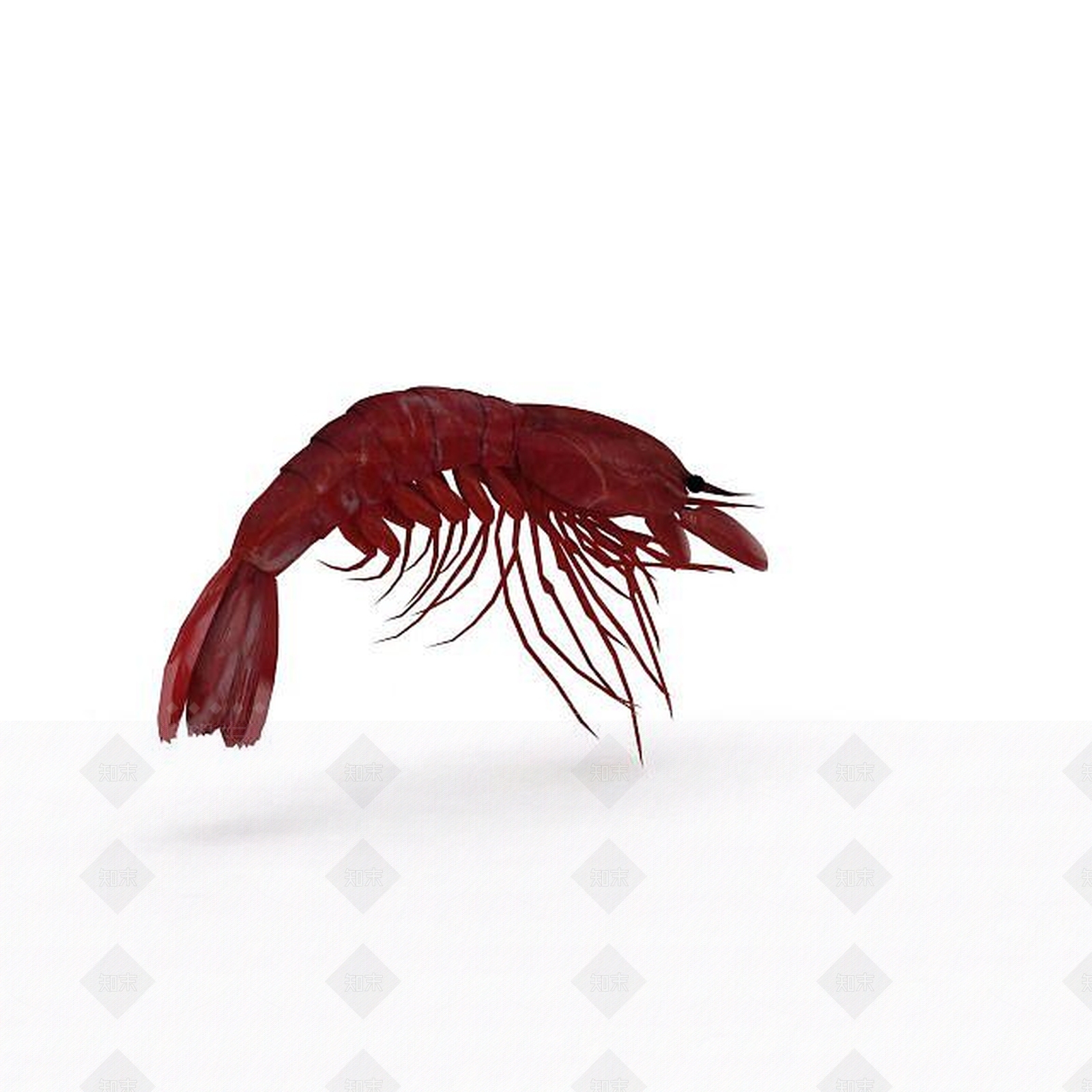 现代爬行类动物3D模型下载【ID:1194737738】