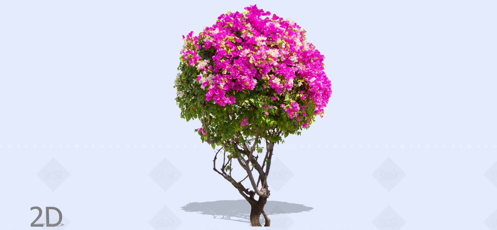 乔木SU模型下载【ID:1194742205】