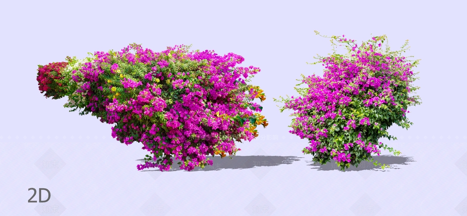 灌木SU模型下载【ID:1194747942】