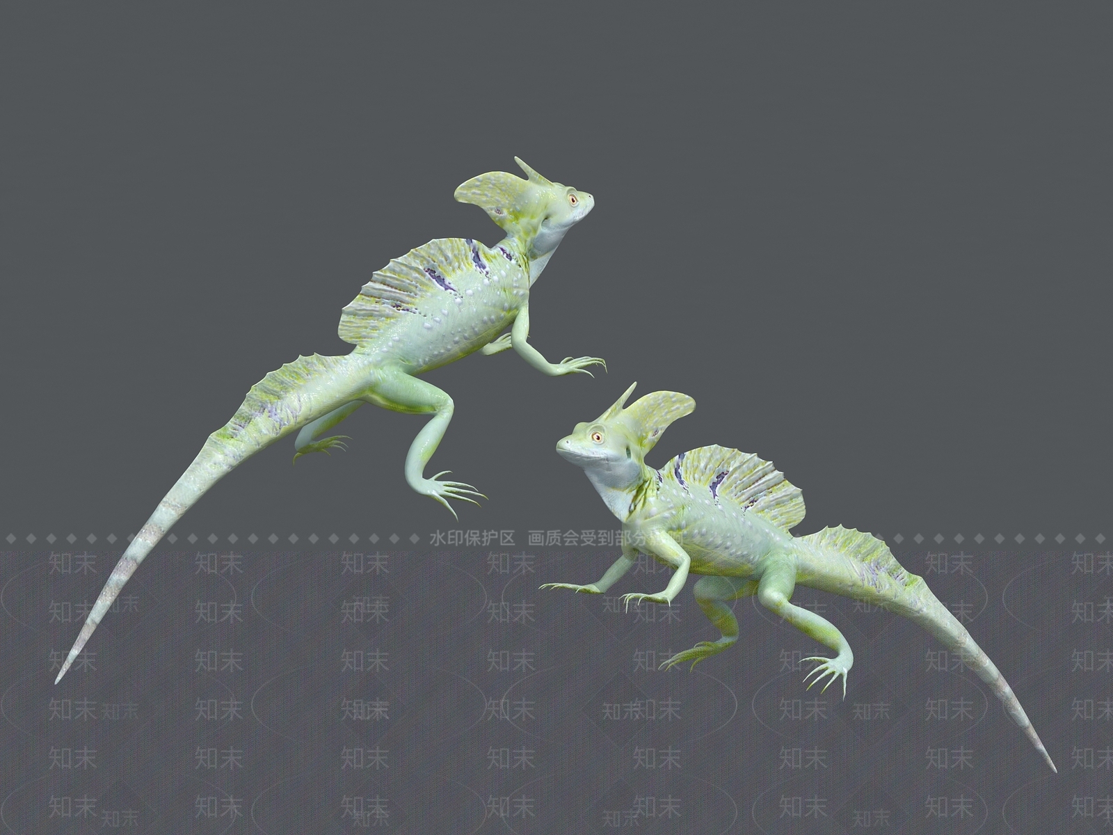 爬行类动物3D模型下载【ID:1194760233】