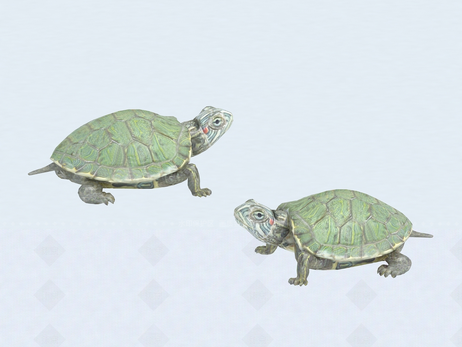 爬行类动物3D模型下载【ID:1194760267】