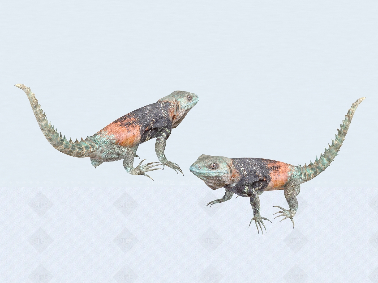 爬行类动物3D模型下载【ID:1194760239】