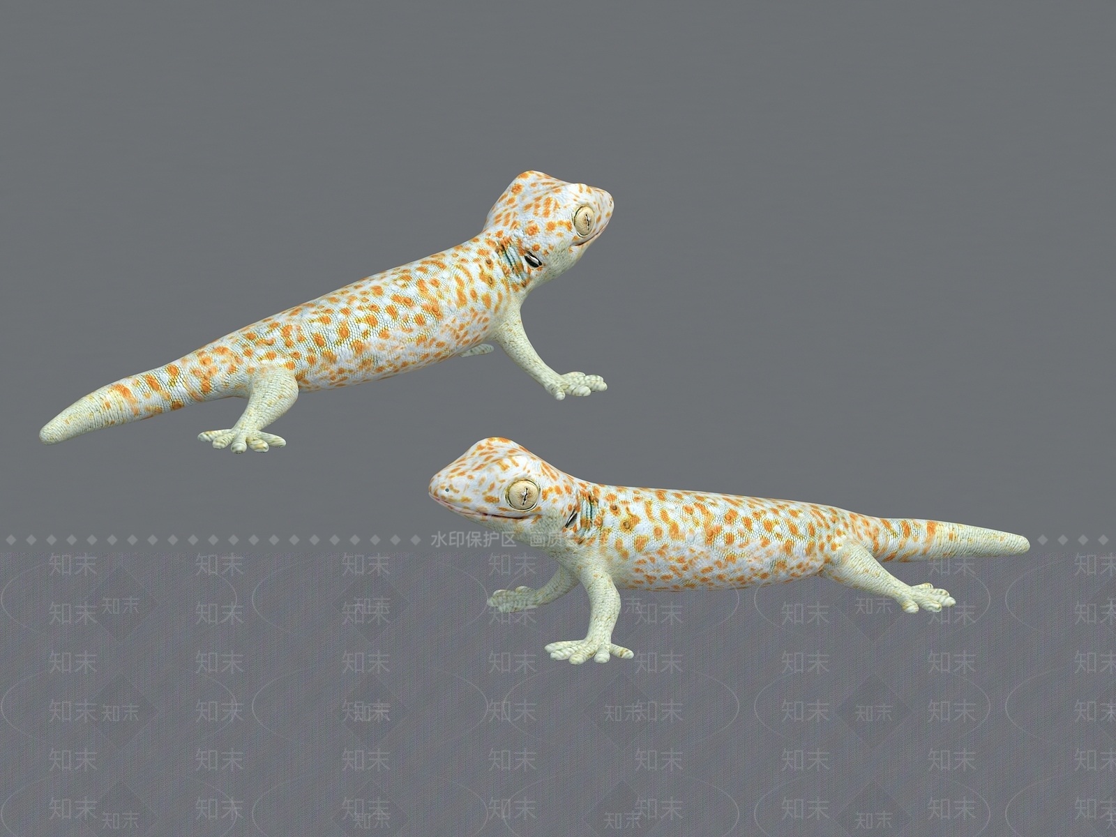 爬行类动物3D模型下载【ID:1194760374】