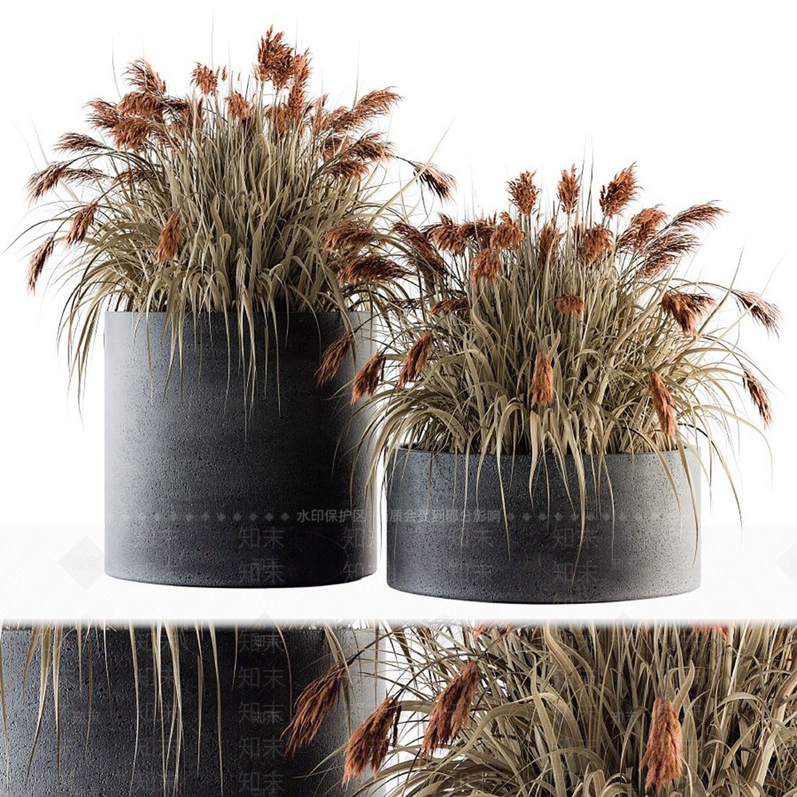 现代植物盆栽印度草3D模型下载【ID:1194764793】