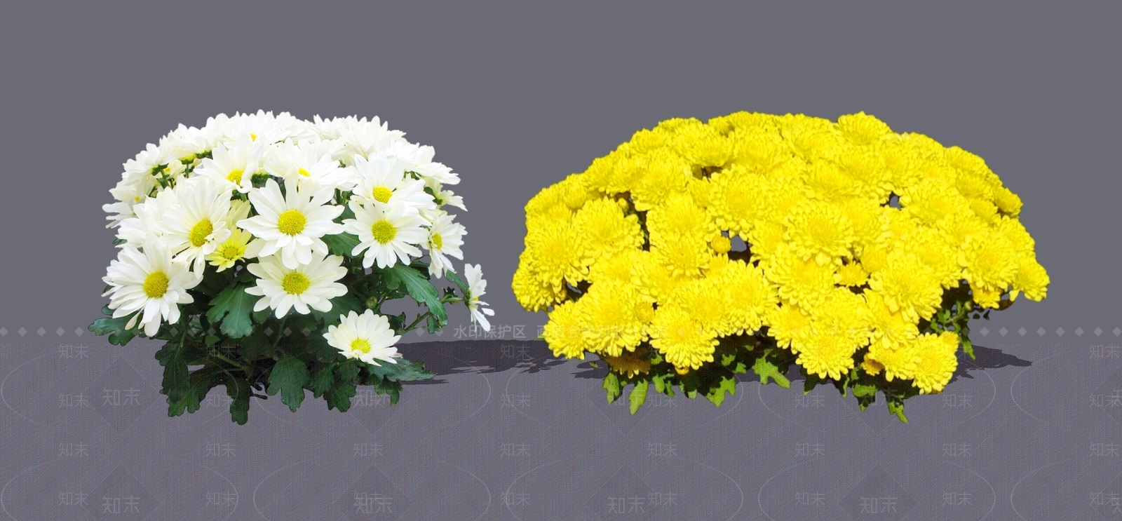 花草SU模型下载【ID:1194804180】