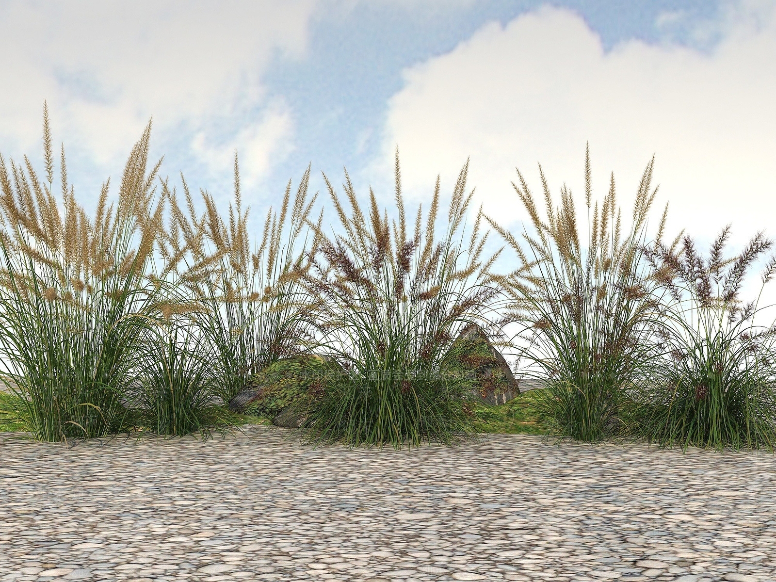 现代精品景观开花植物3D模型下载【ID:1194812017】