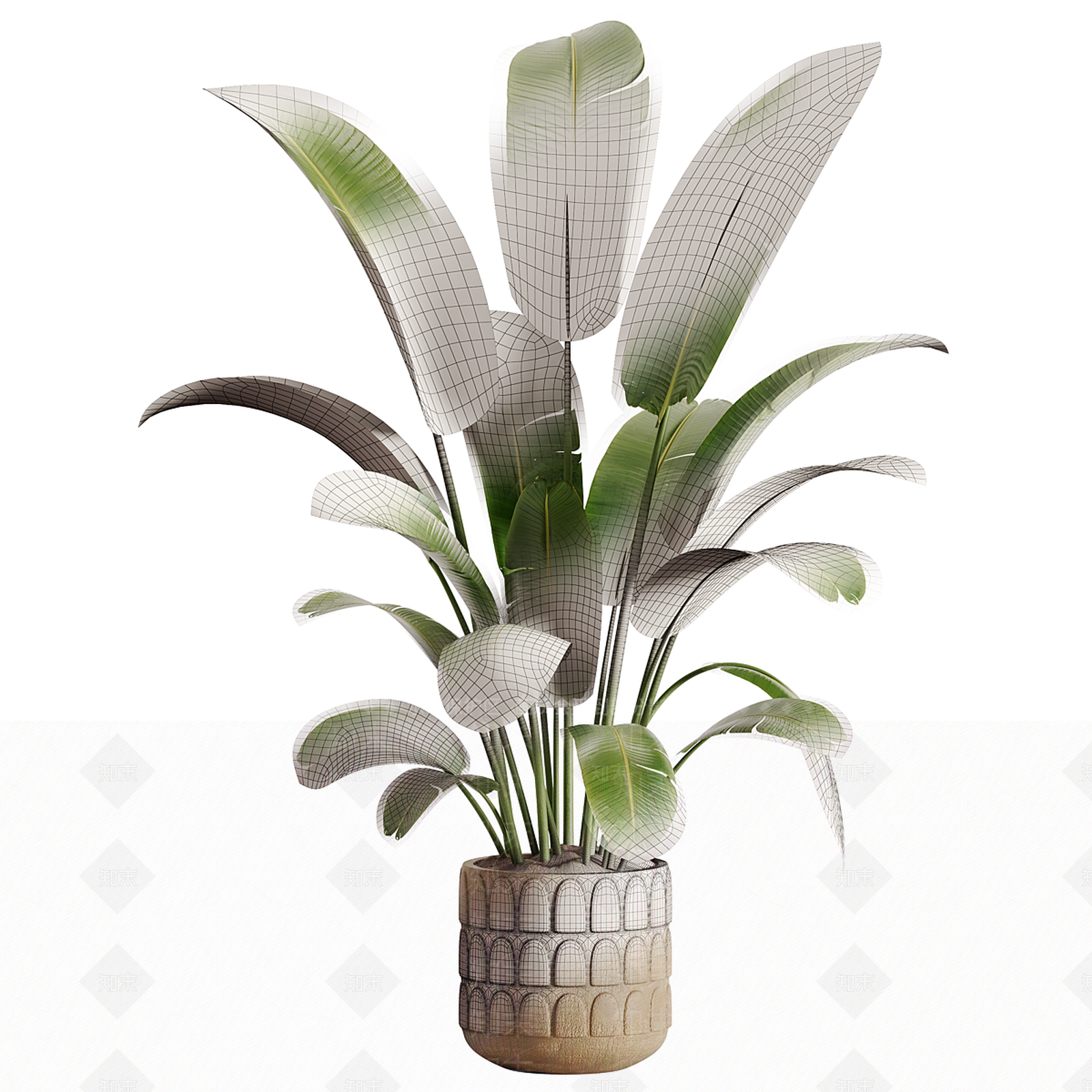 盆栽3D模型下载【ID:1194815001】