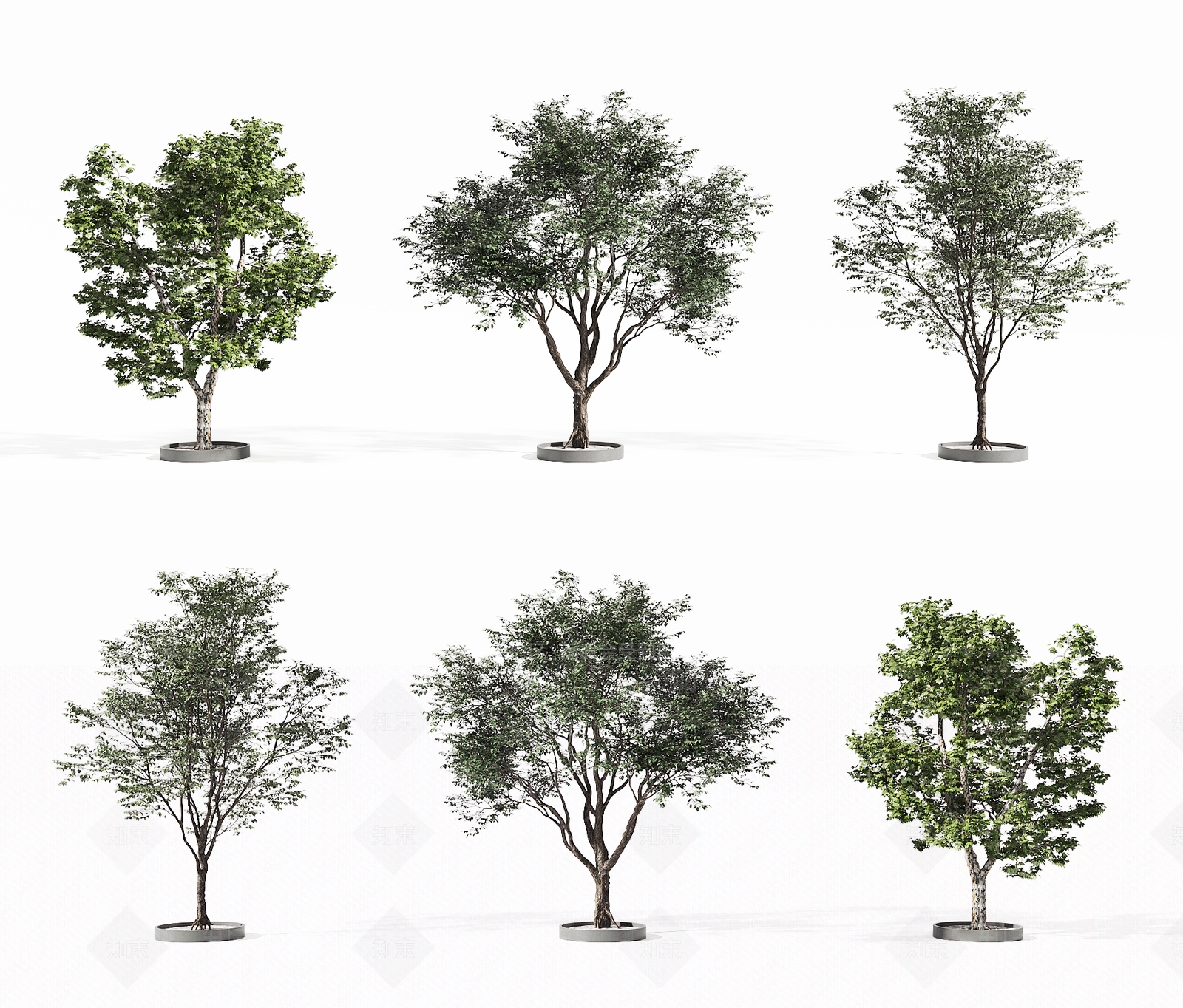 其他树木3D模型下载【ID:1194835589】