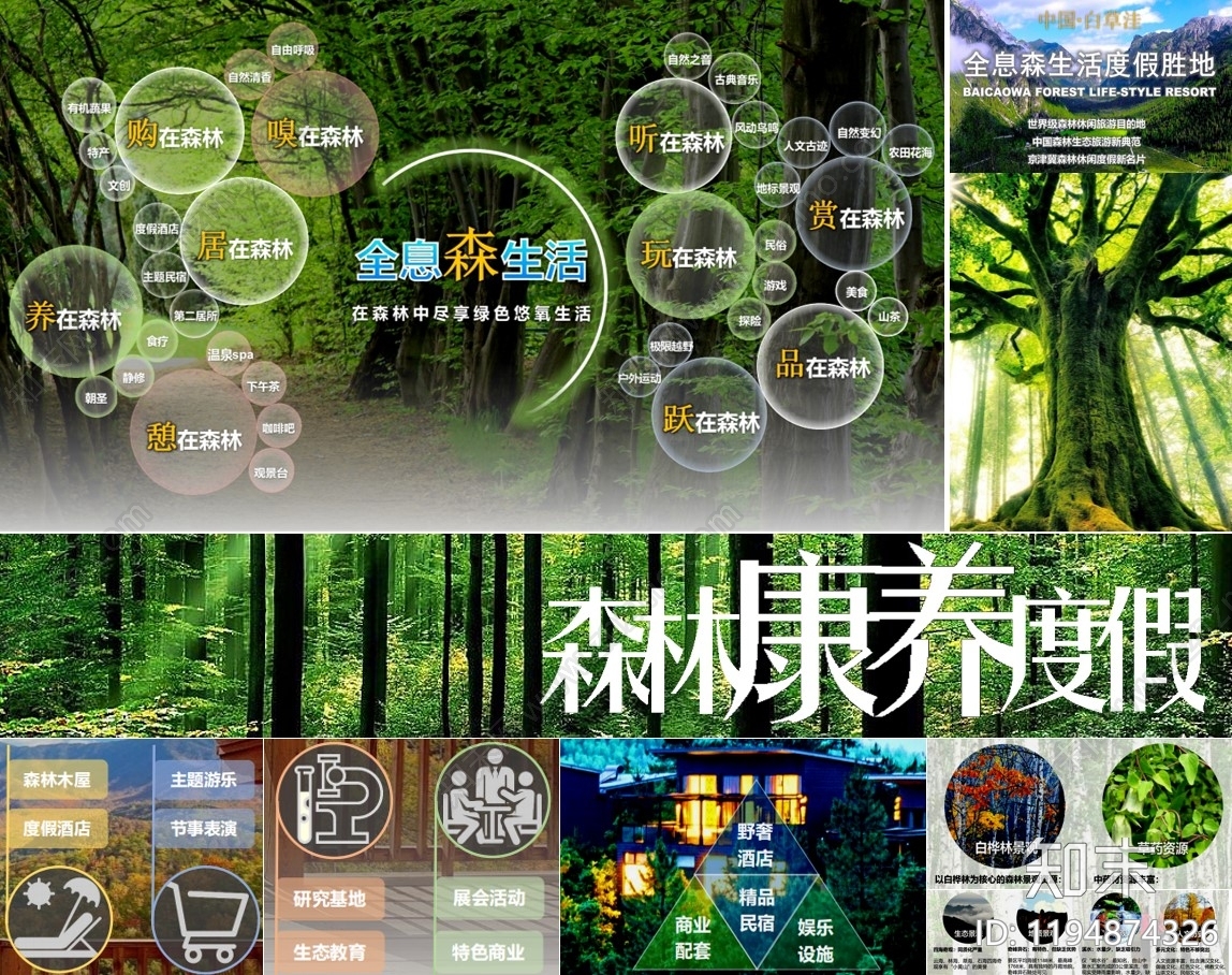康养文旅下载【ID:1194874326】