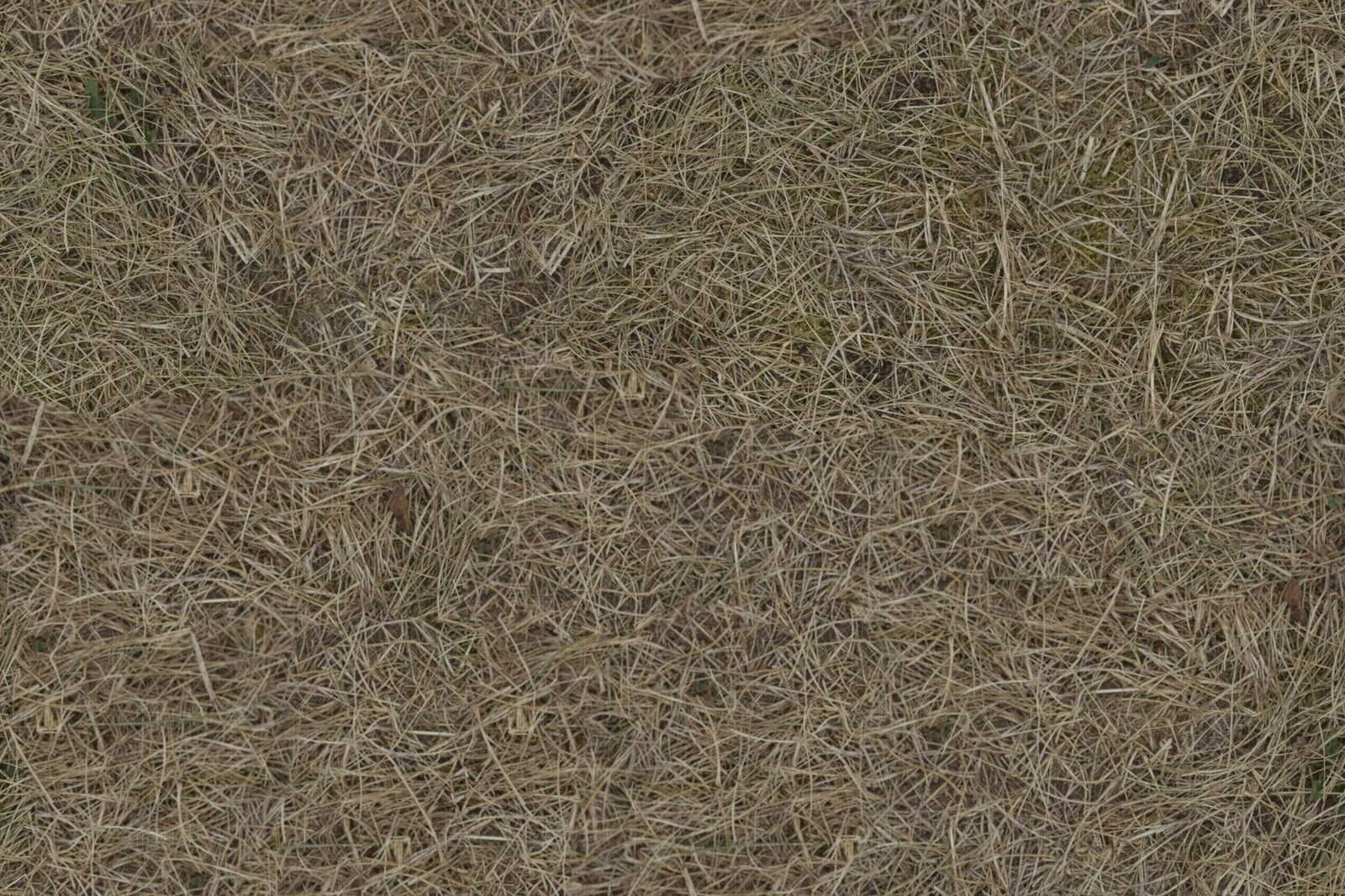 现代自然地面贴图下载【ID:1194898839】