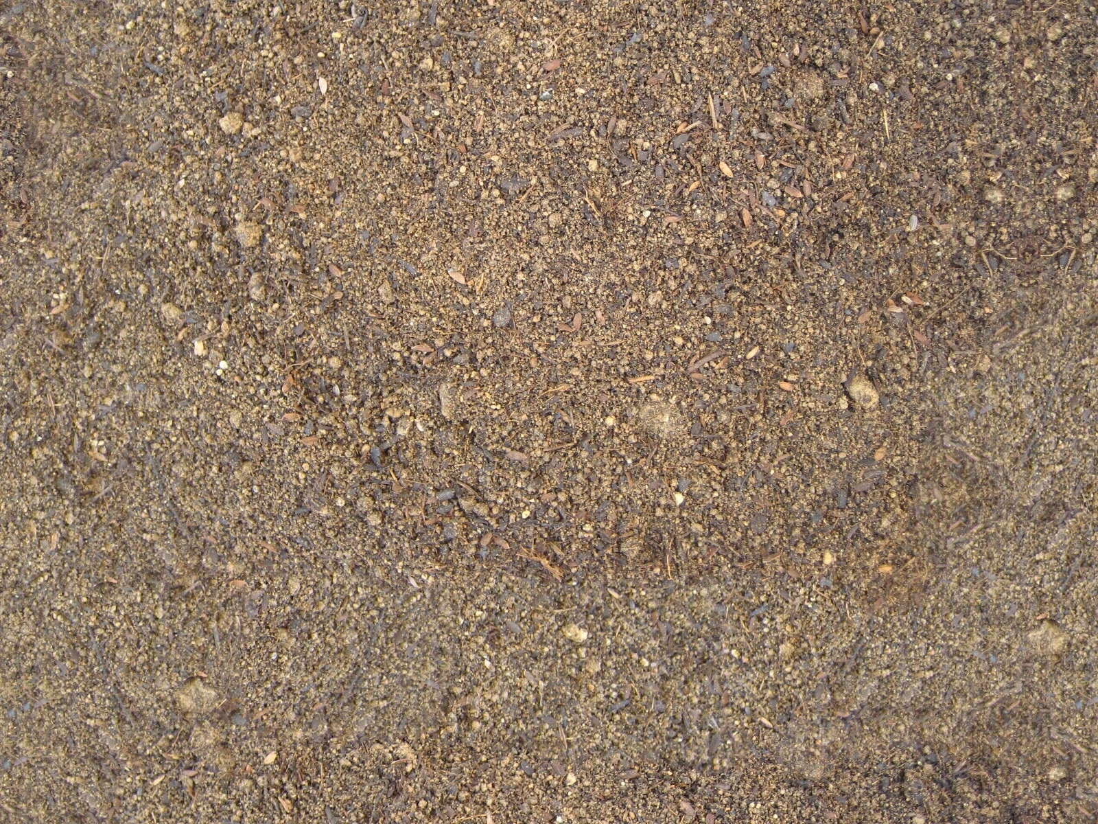 现代自然地面贴图下载【ID:1194901226】