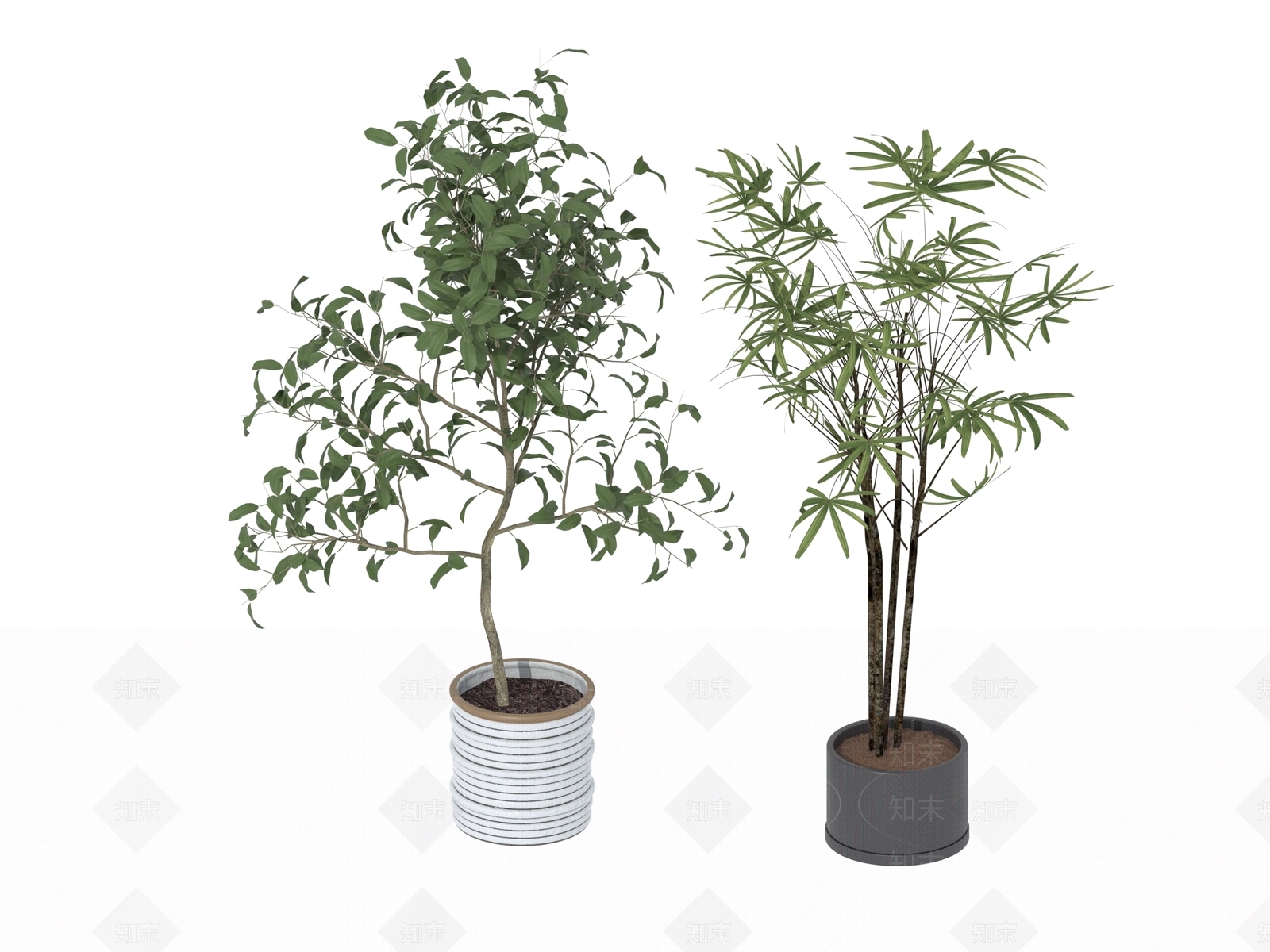 盆栽3D模型下载【ID:1194911285】