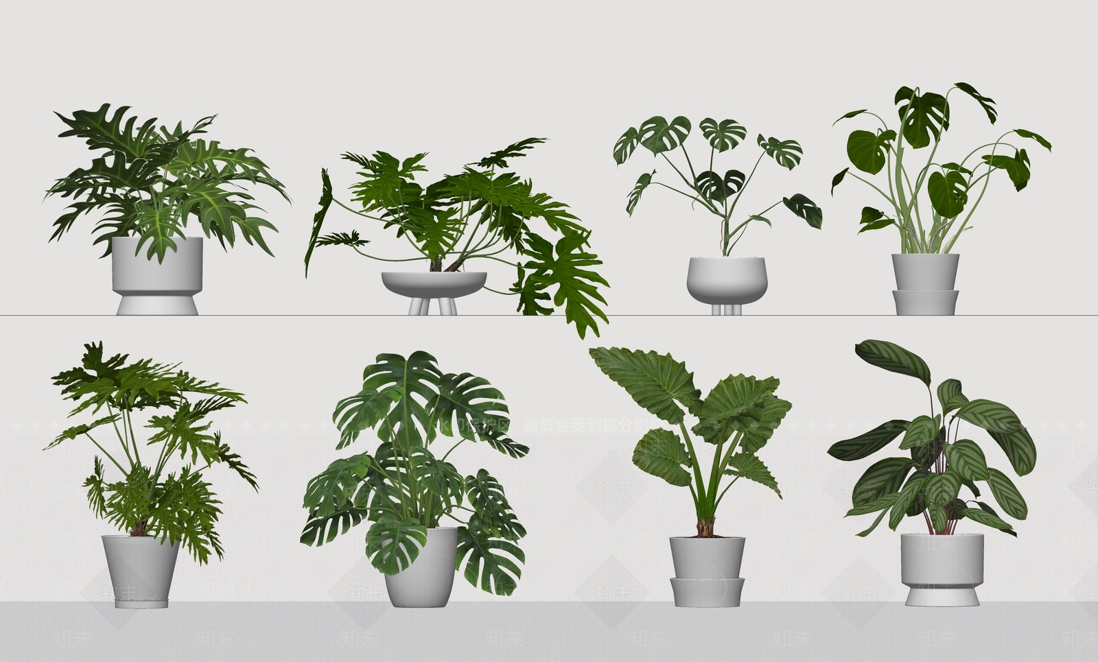 盆栽SU模型下载【ID:1194930609】