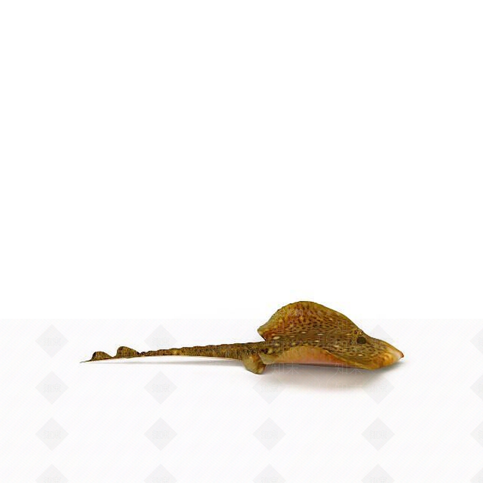 现代爬行类动物3D模型下载【ID:1194938523】