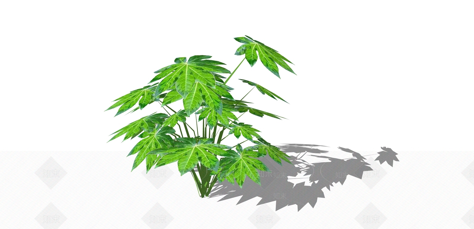 灌木SU模型下载【ID:1194978764】