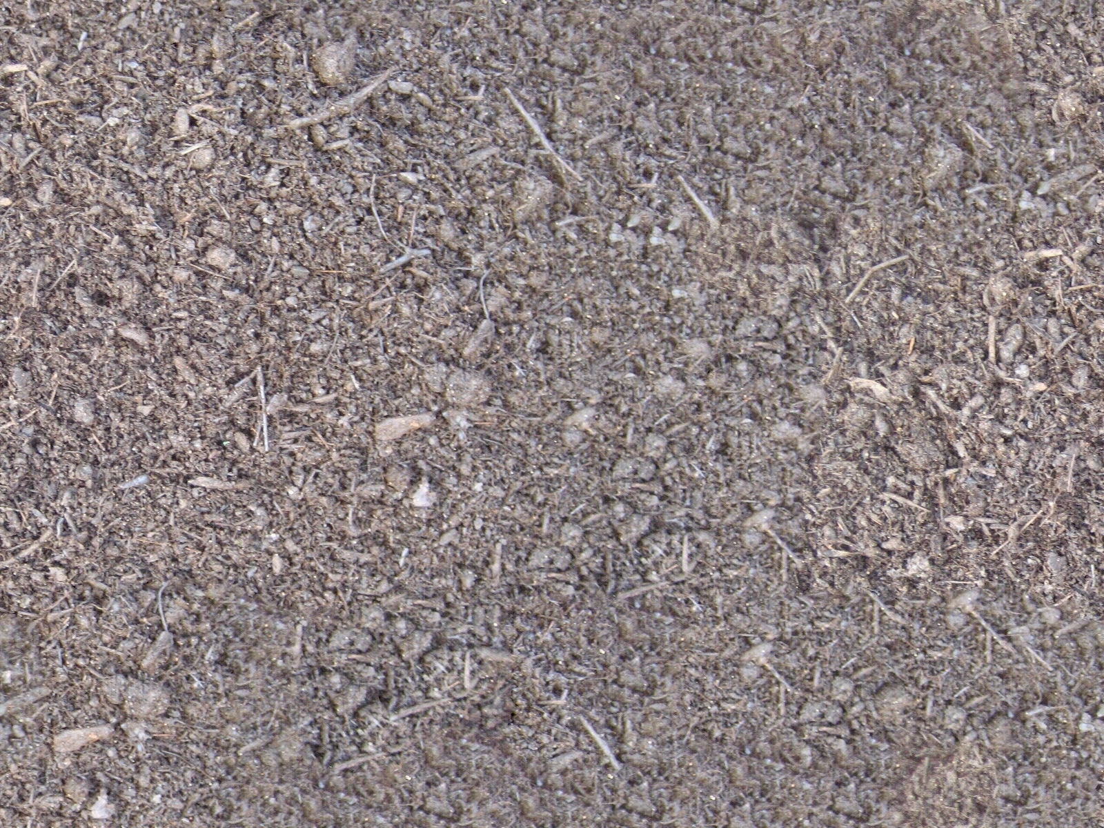 现代自然地面贴图下载【ID:1195013823】