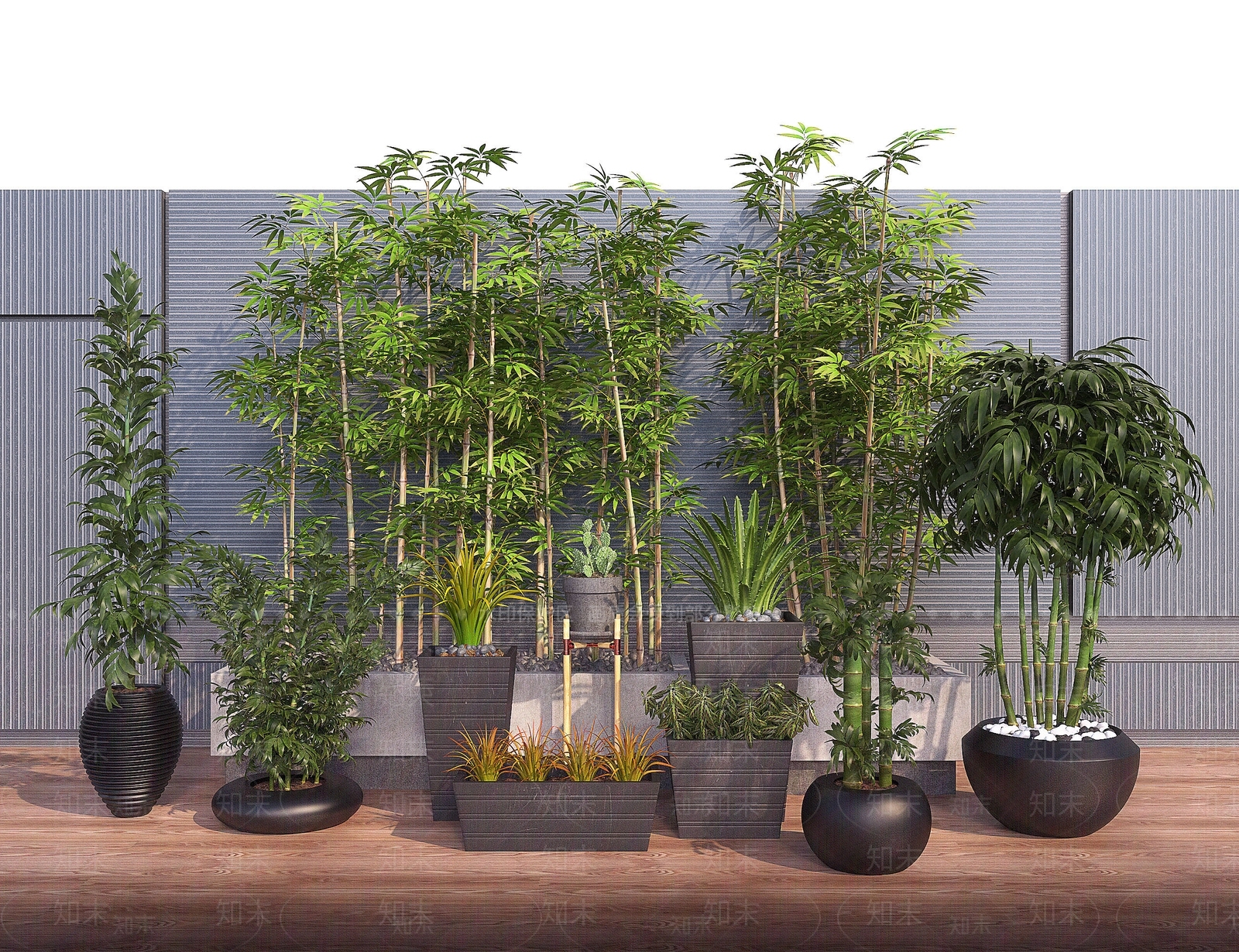 现代景观植物盆栽植物景观竹3D模型下载【ID:1195044410】