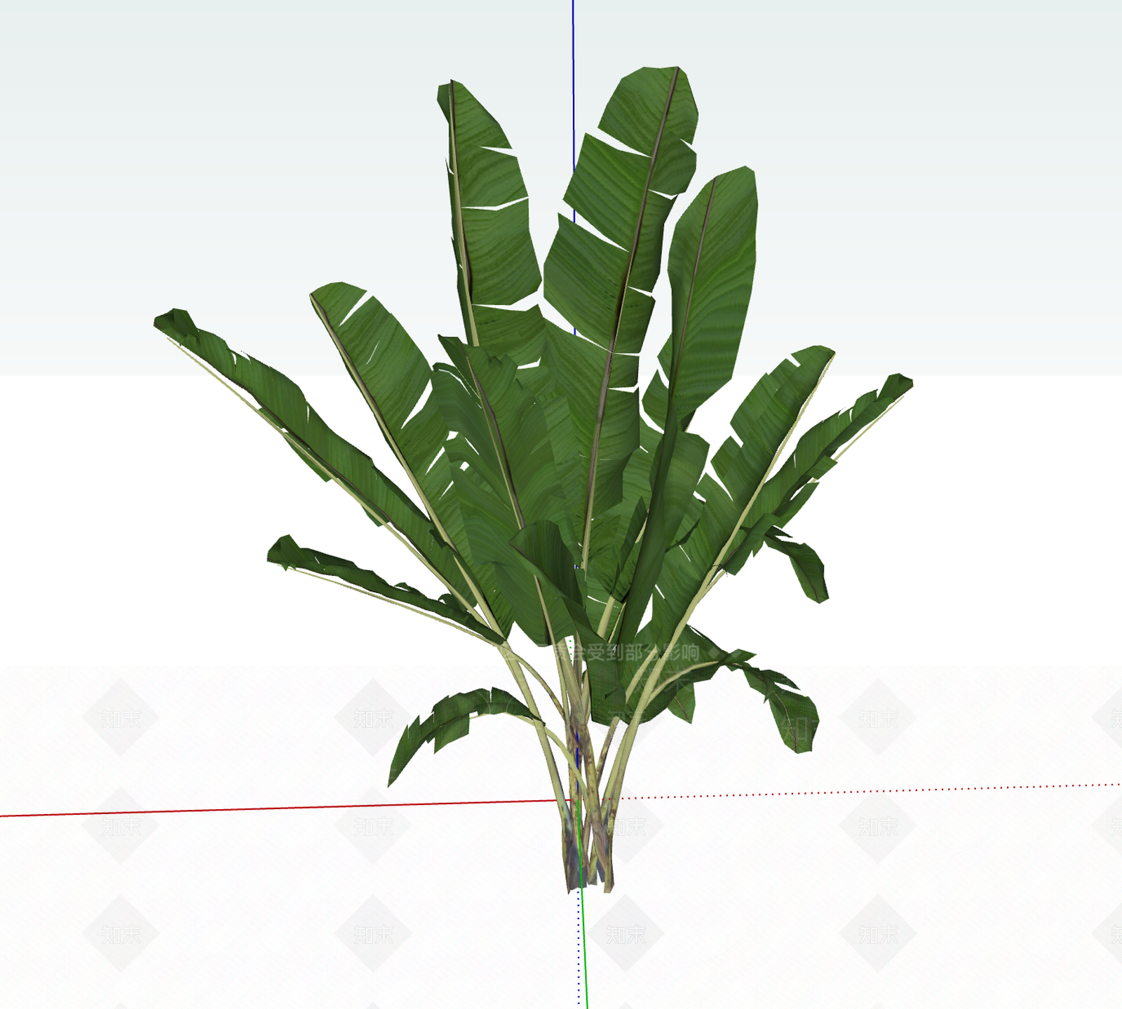 花草SU模型下载【ID:1195068249】