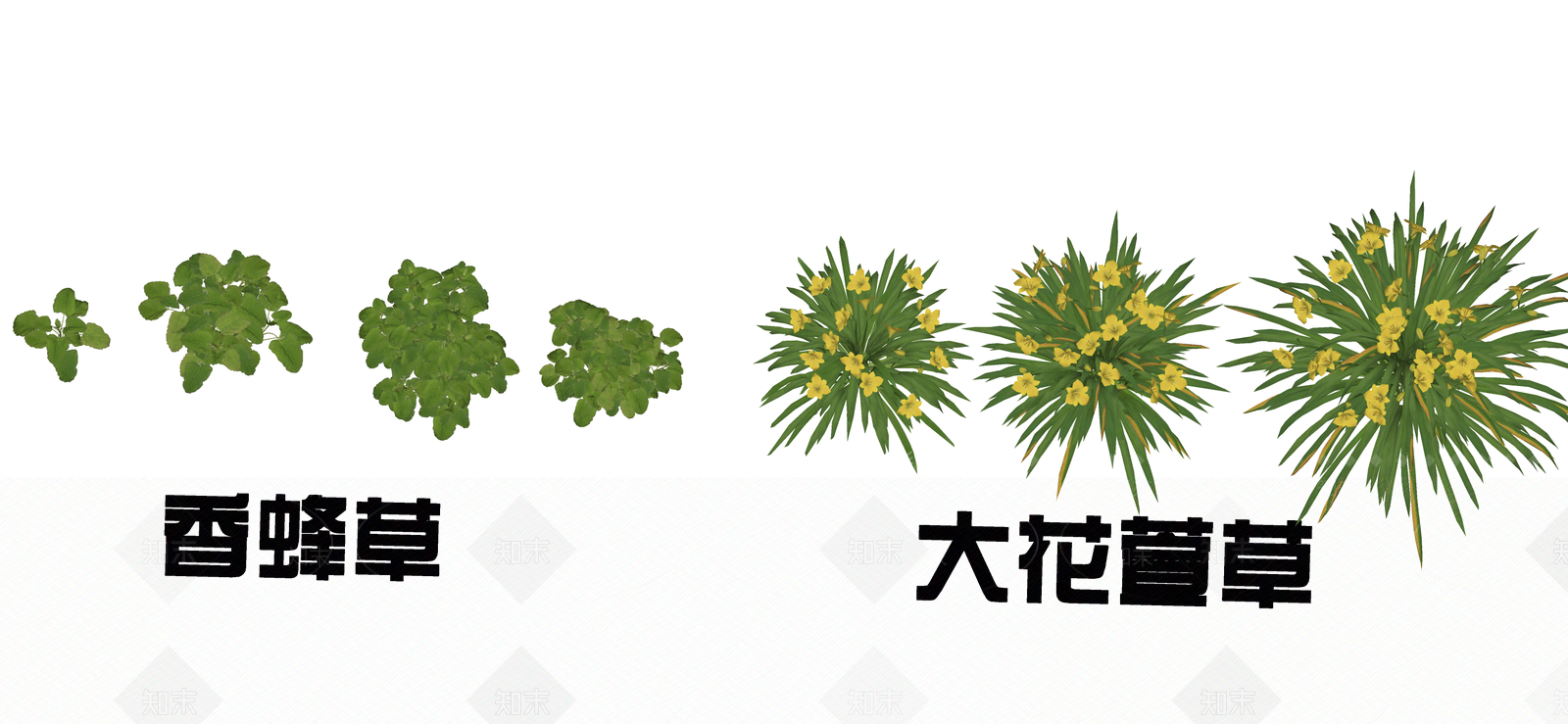 花草SU模型下载【ID:1195072859】