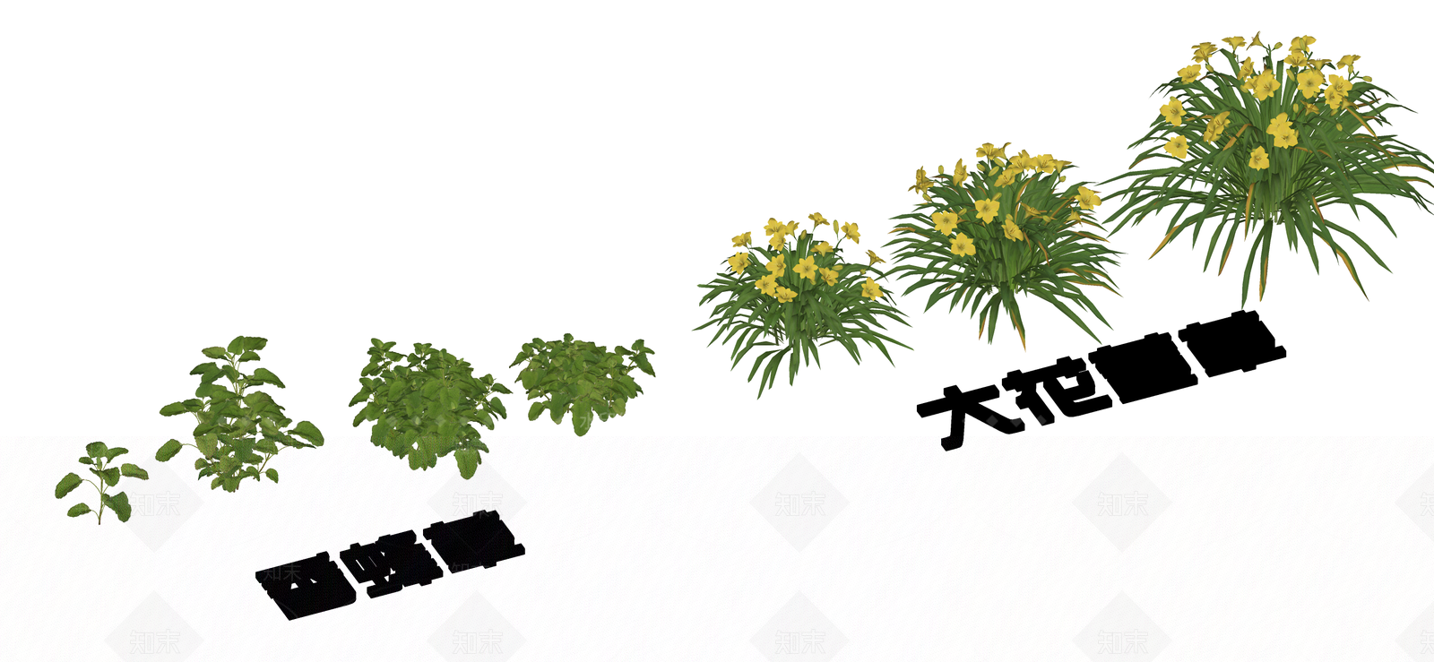 花草SU模型下载【ID:1195072859】