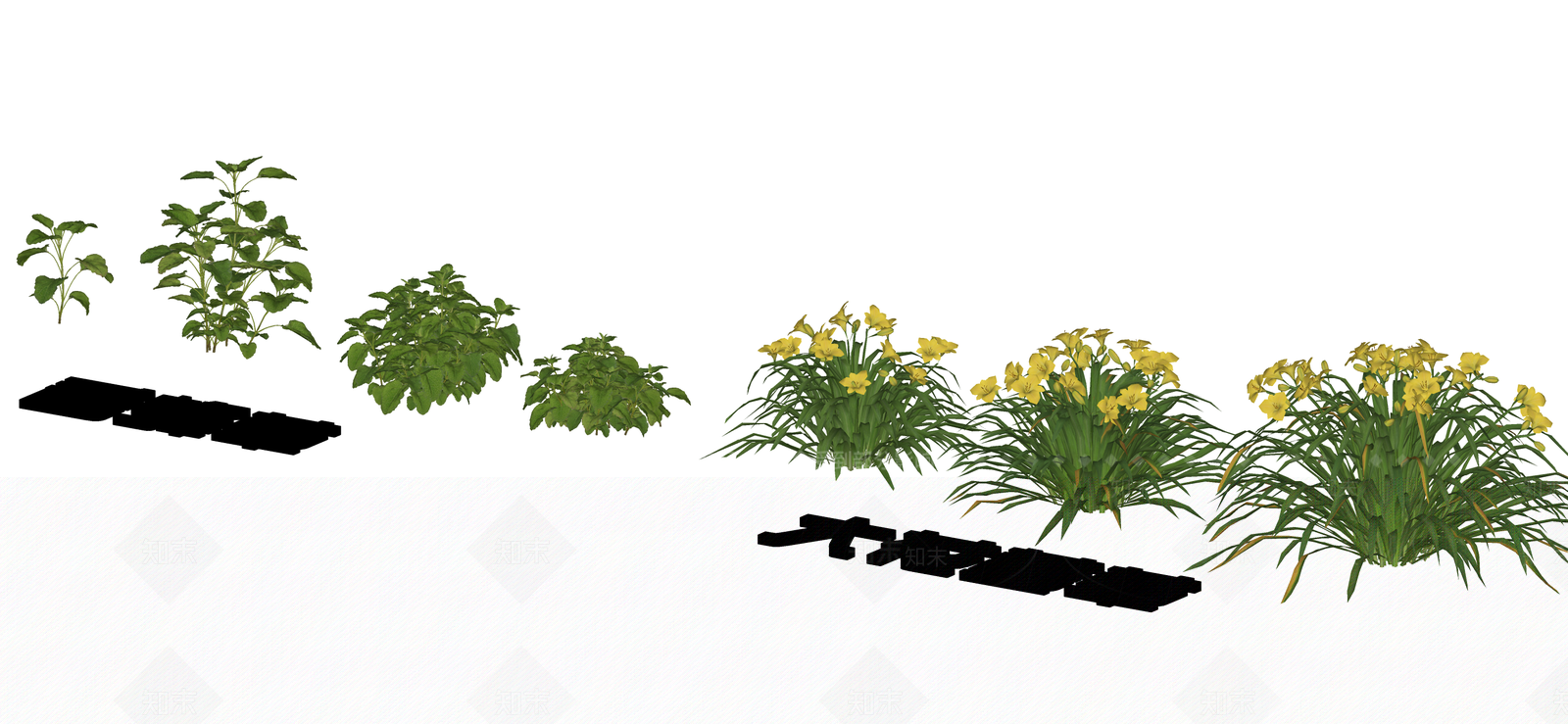 花草SU模型下载【ID:1195072859】
