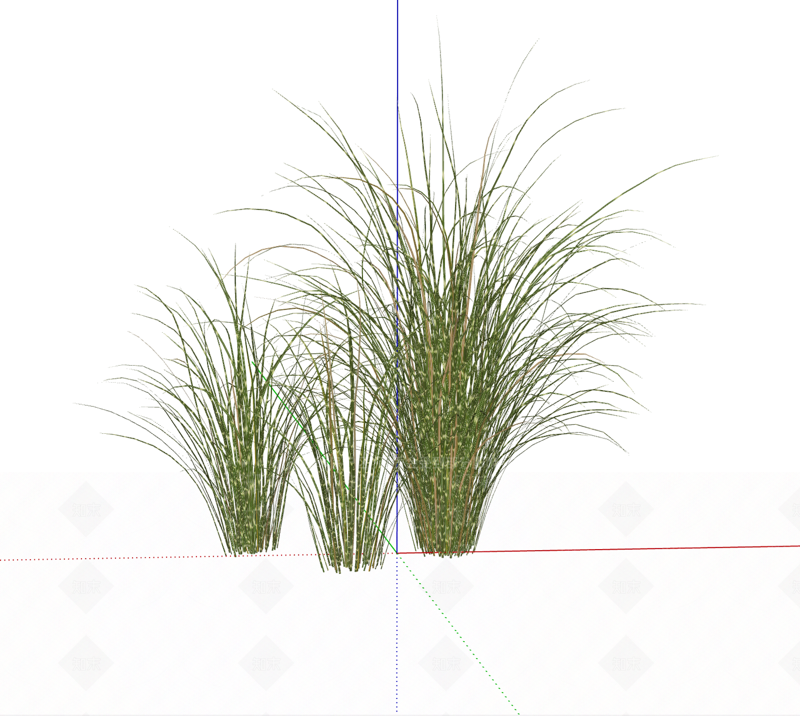 水生植物SU模型下载【ID:1195091282】