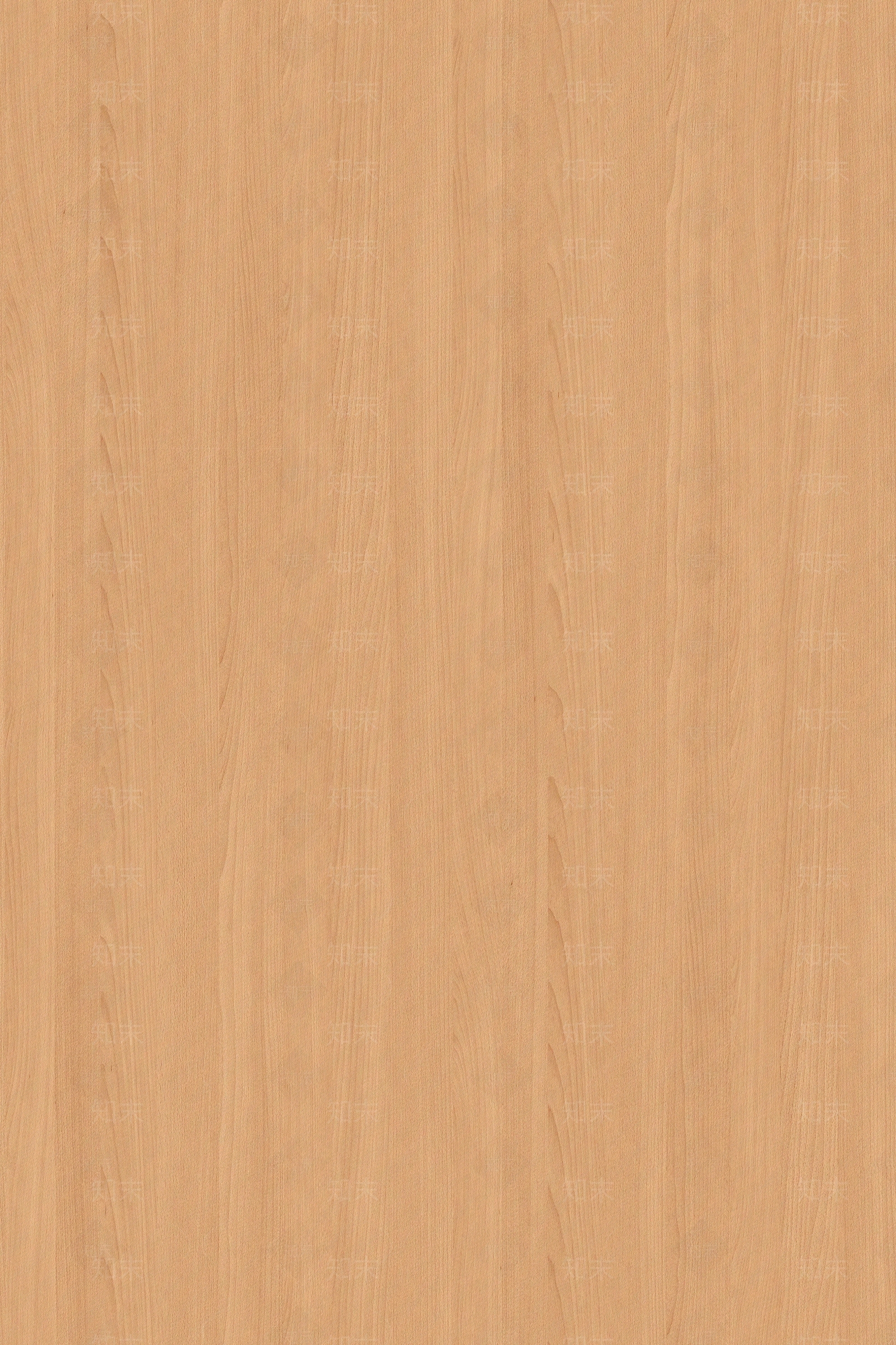 新中式法式其他木纹贴图下载【ID:1195109158】