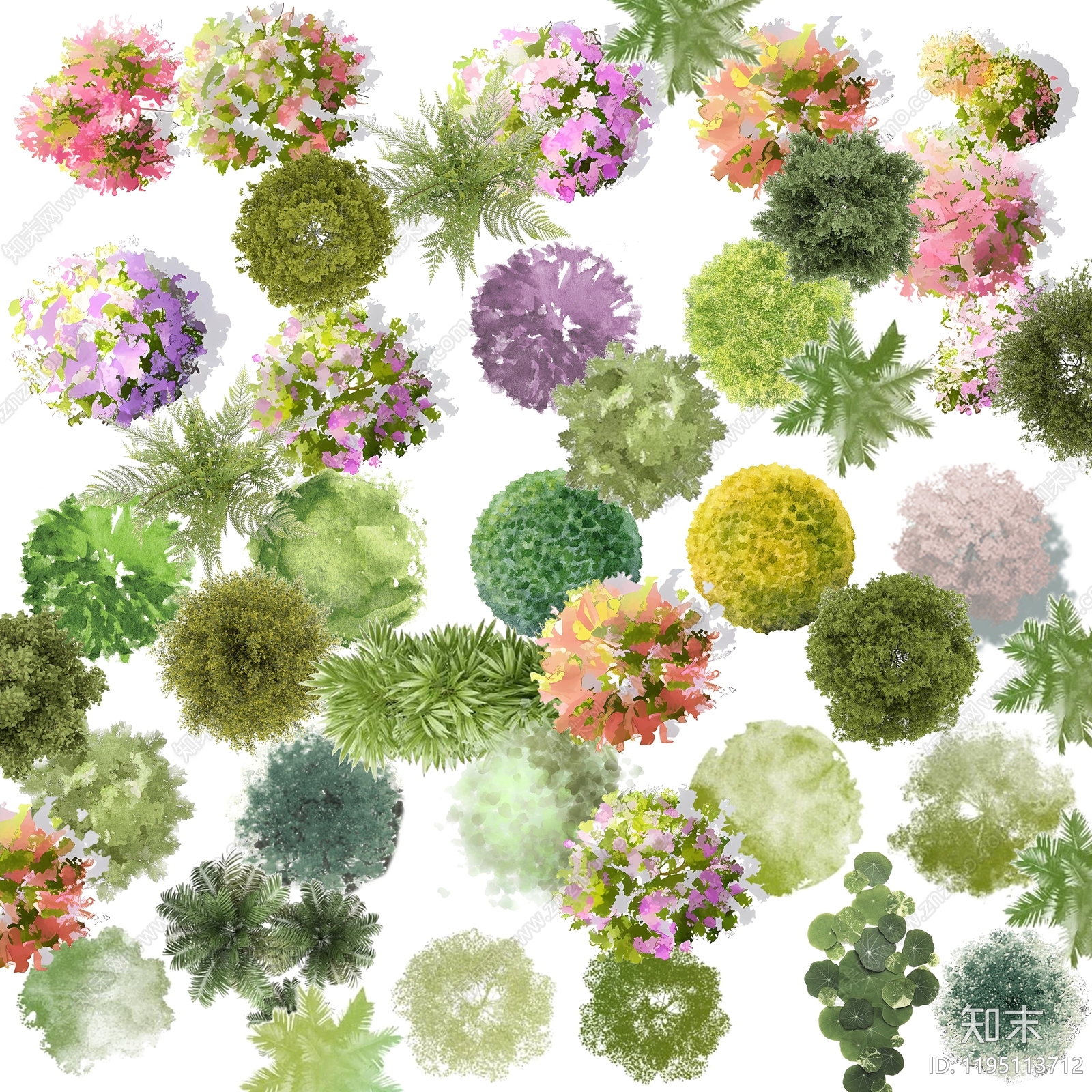 现代新中式景观彩平图下载【ID:1195113712】