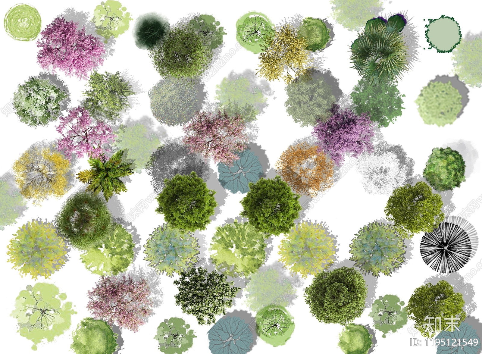 现代新中式景观彩平图下载【ID:1195121549】