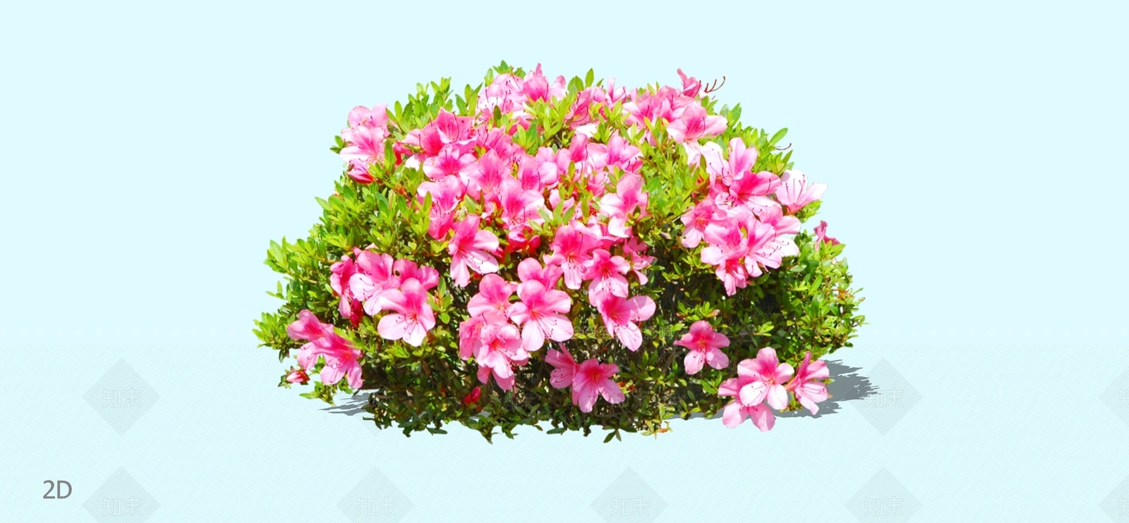 灌木SU模型下载【ID:1195131053】