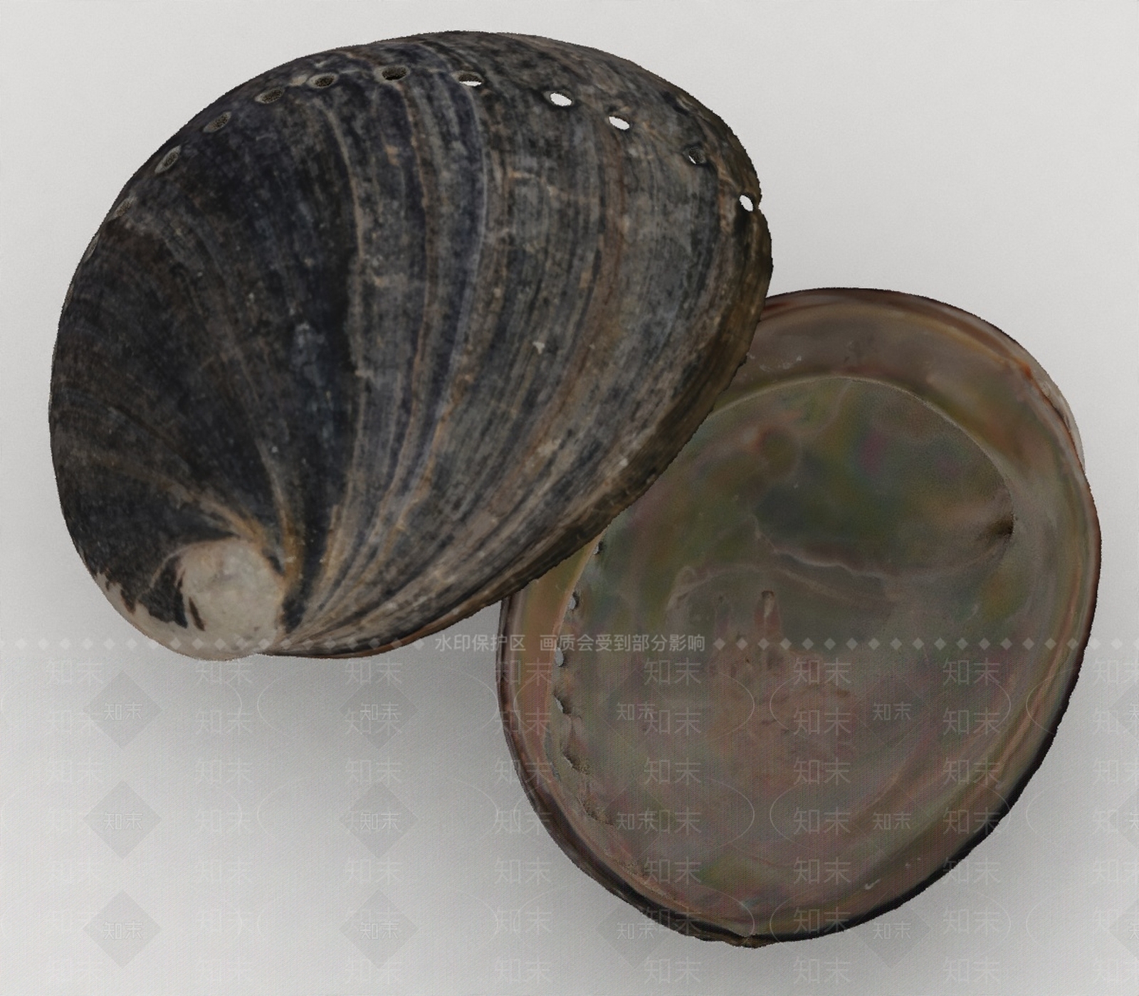 水生类动物3D模型下载【ID:1195134082】