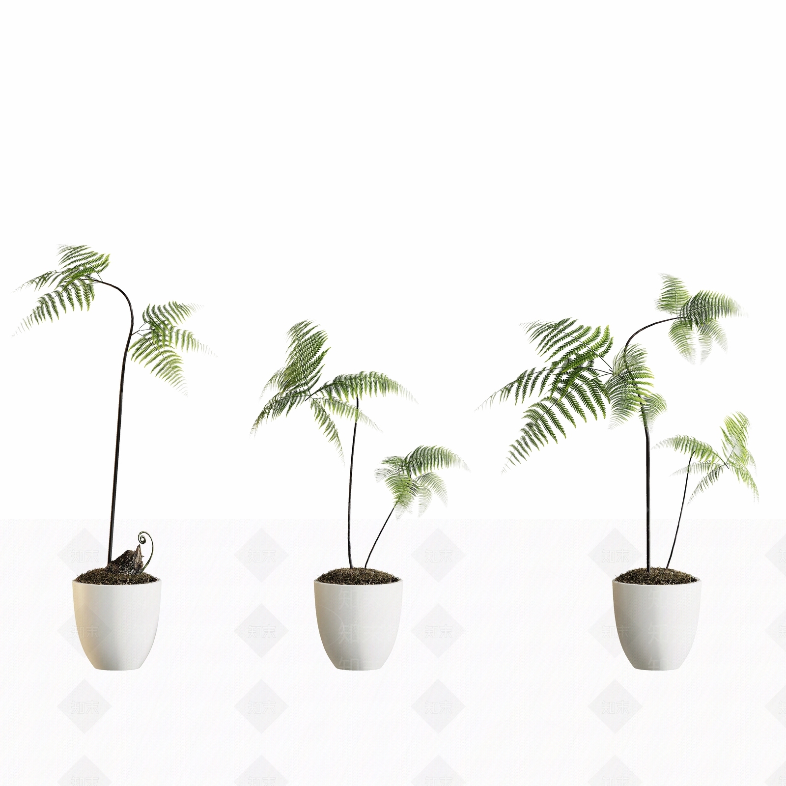 盆栽3D模型下载【ID:1195146486】