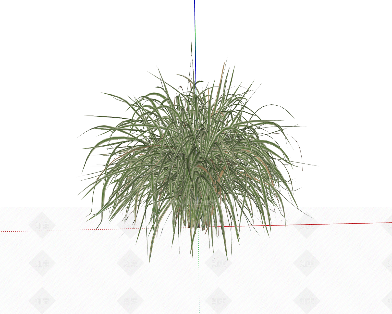 花草SU模型下载【ID:1195171919】