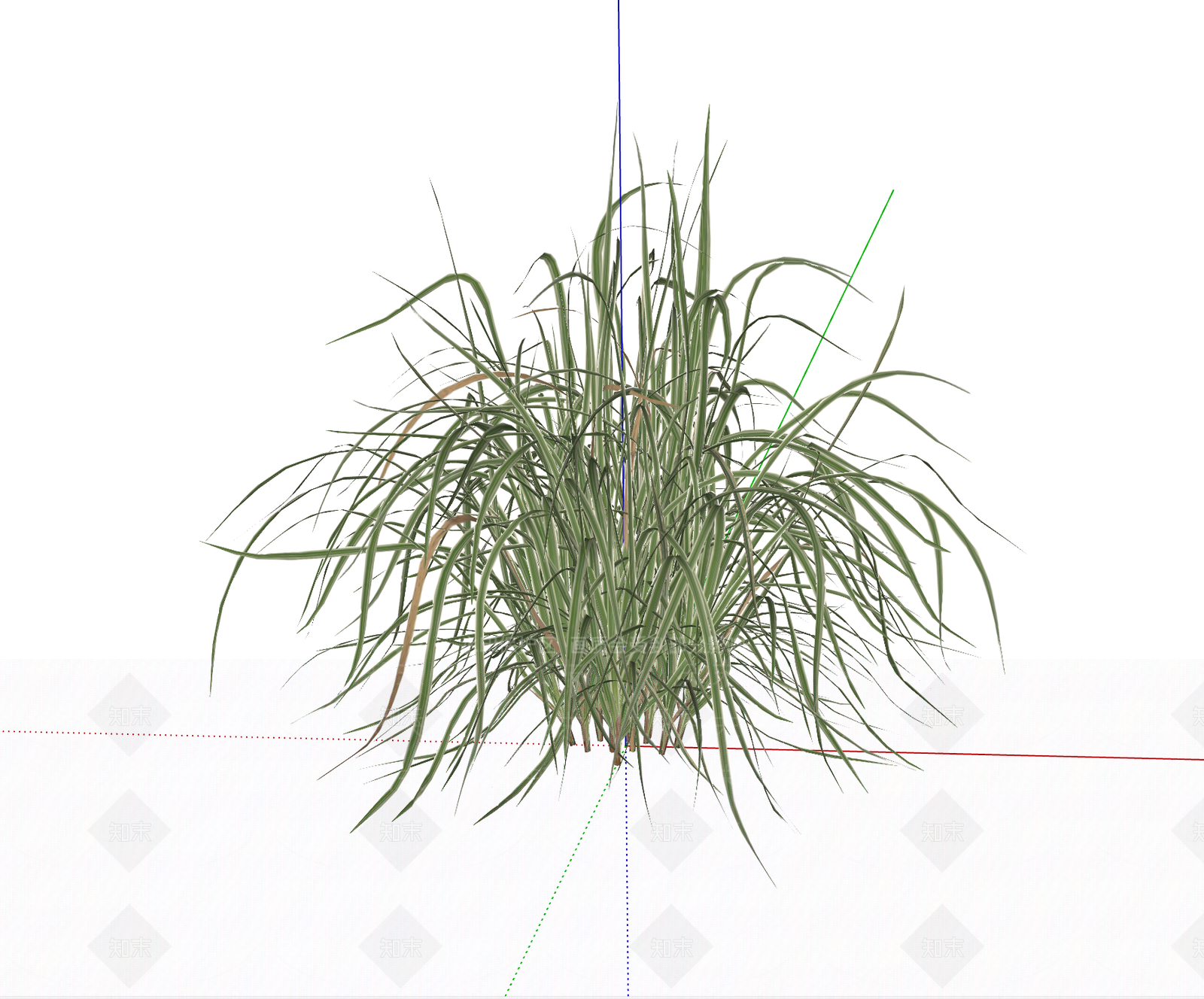 花草SU模型下载【ID:1195171919】