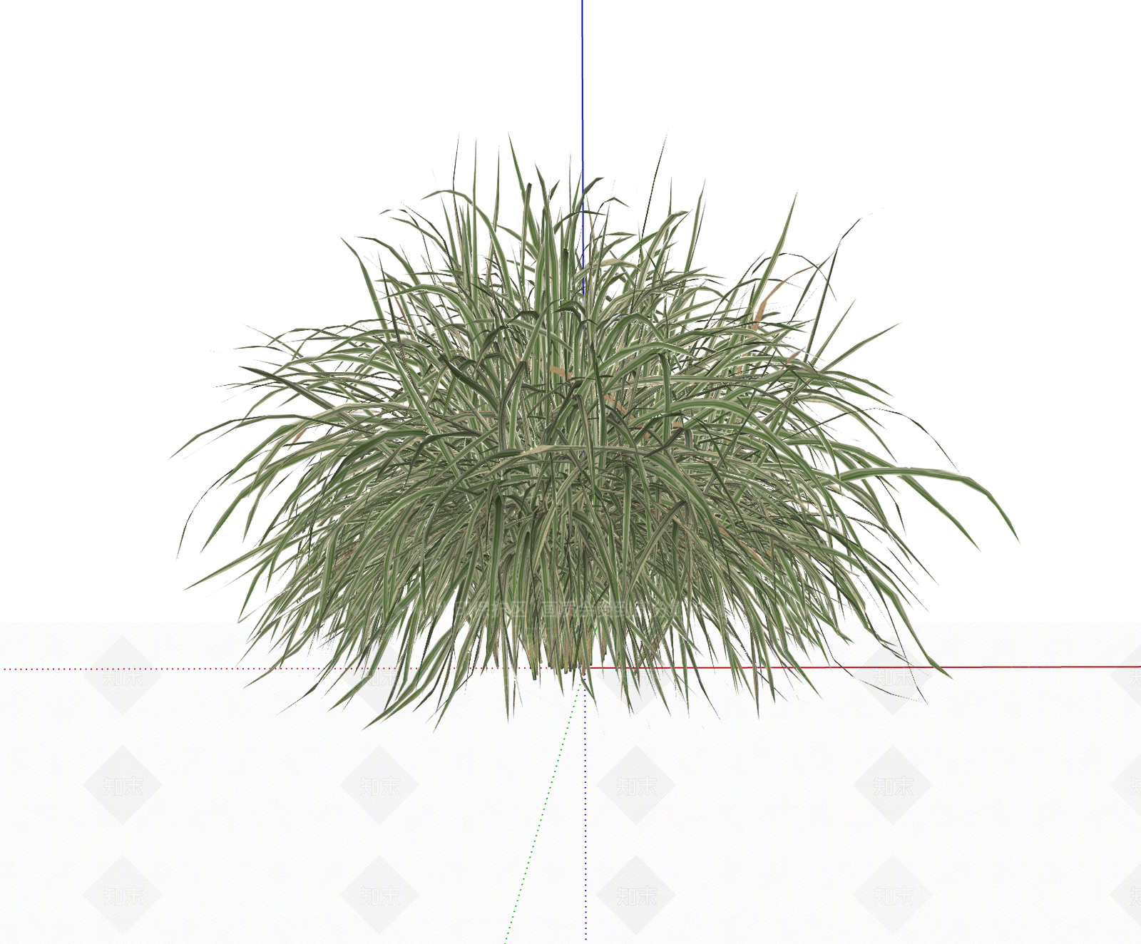 花草SU模型下载【ID:1195171919】