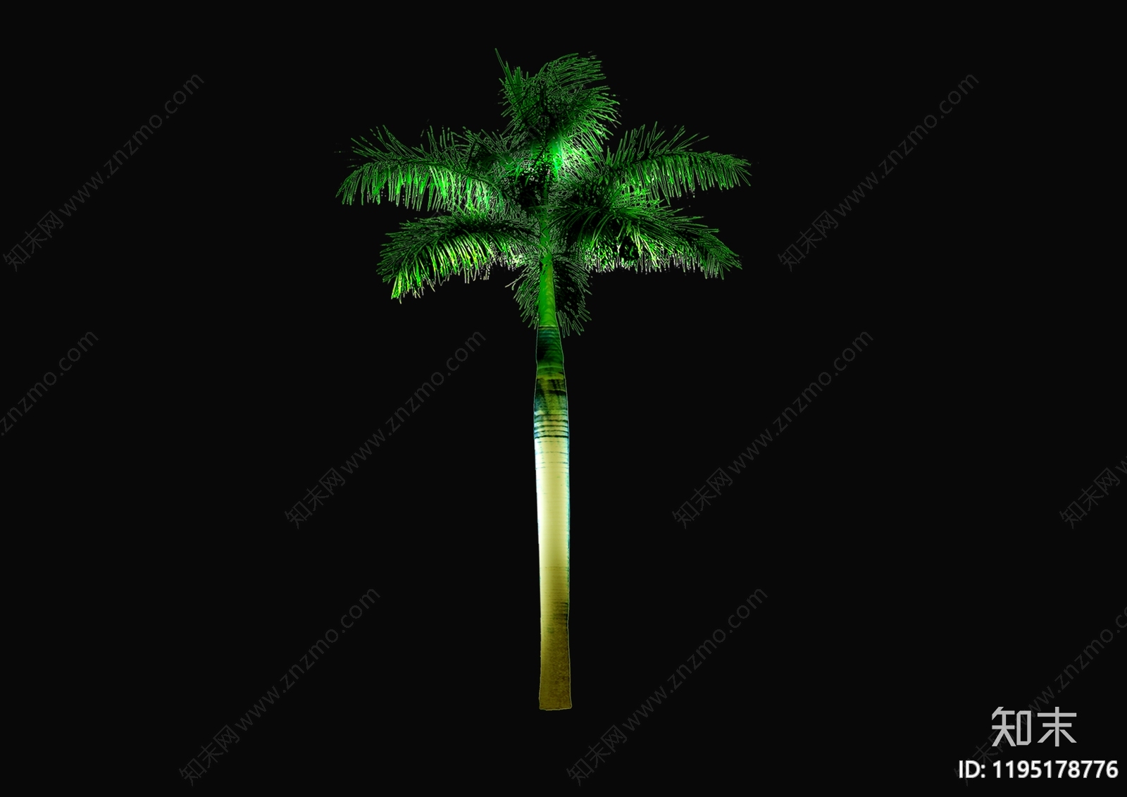 现代轻奢热带植物下载【ID:1195178776】